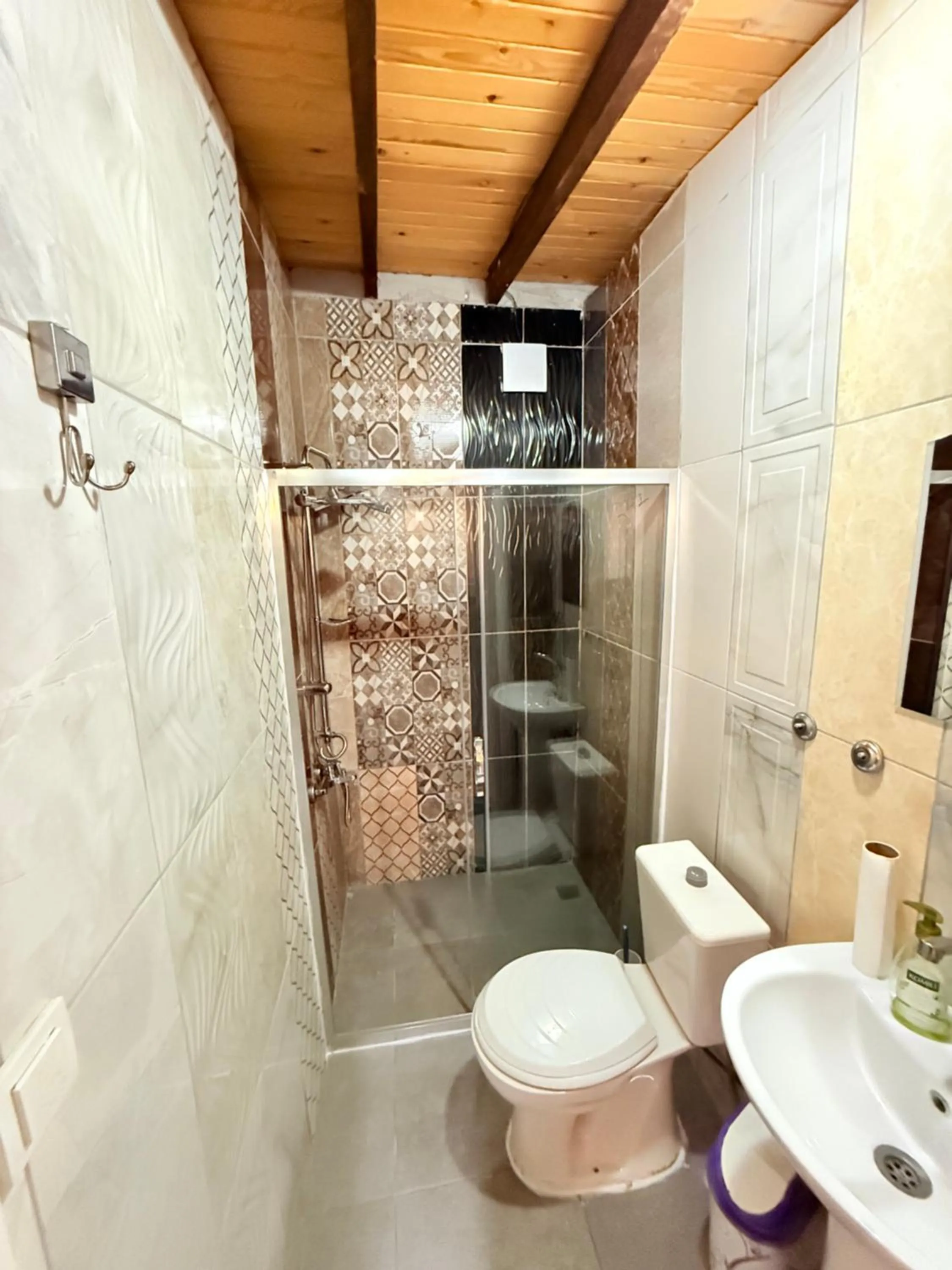 Toilet in ÖZ Butik Otel Antik Kent Myrleia