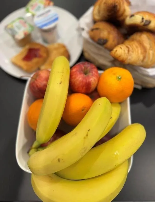 Hotel Pavillon des Gatines