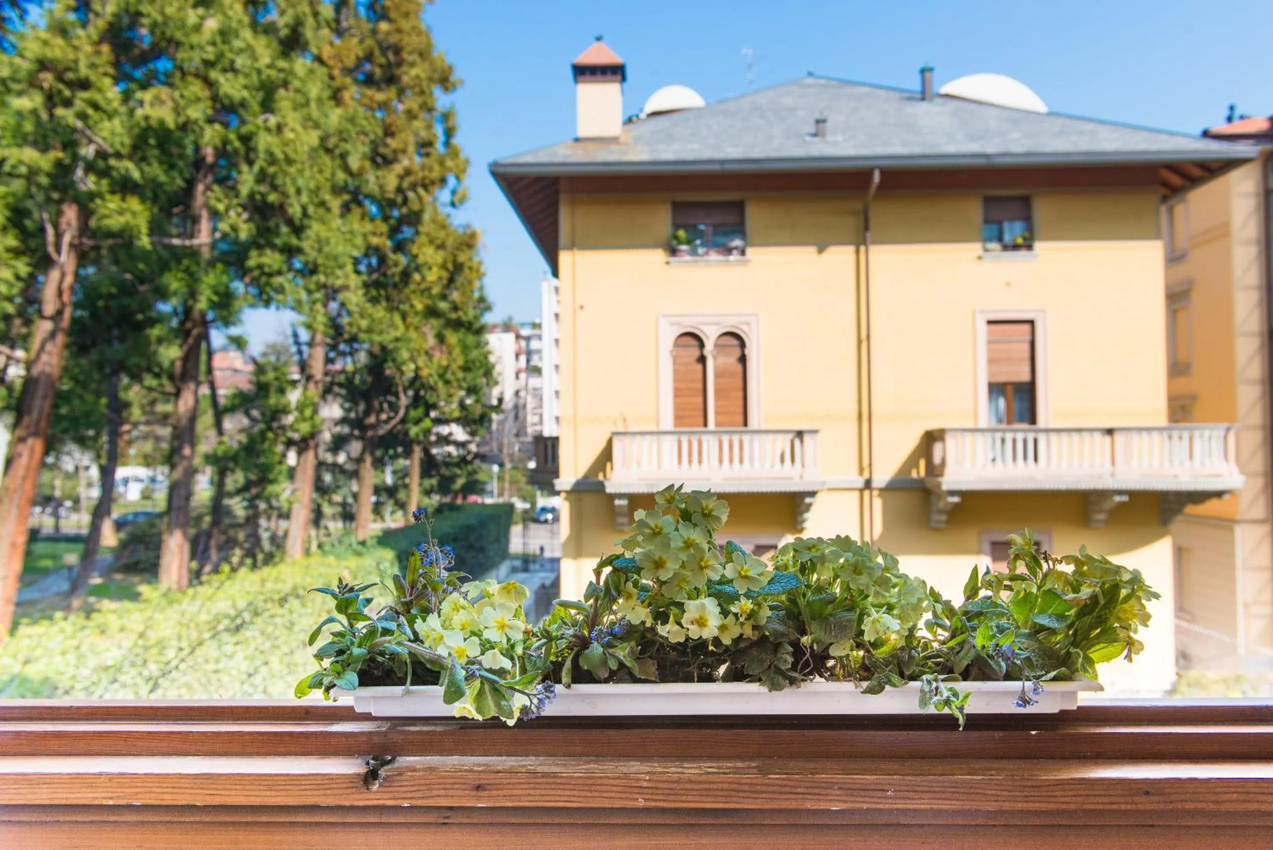 View (from property/room) in B&B San Benedetto