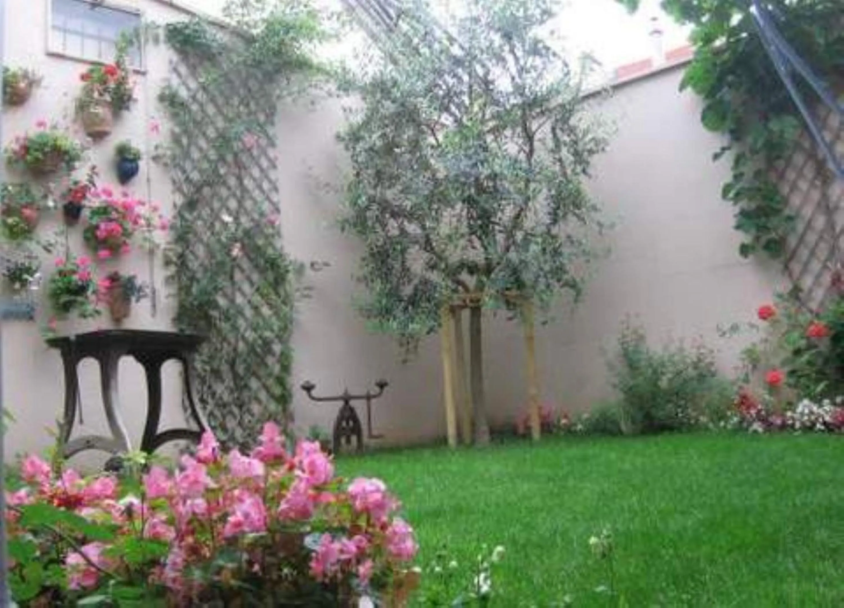 Garden in Chambres d'hôtes Haut de Belleville