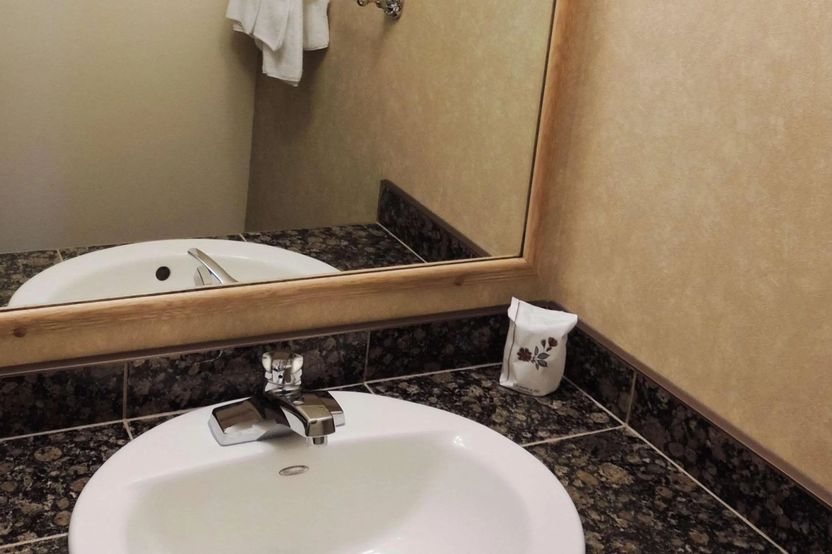 Bedroom in Rodeway Inn