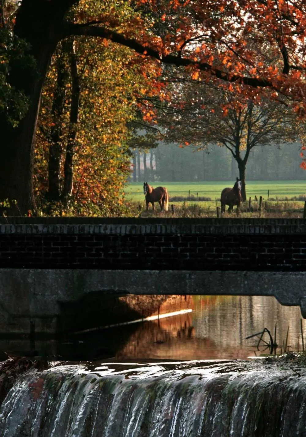 Off site in Beerze Brouwerij Hotel