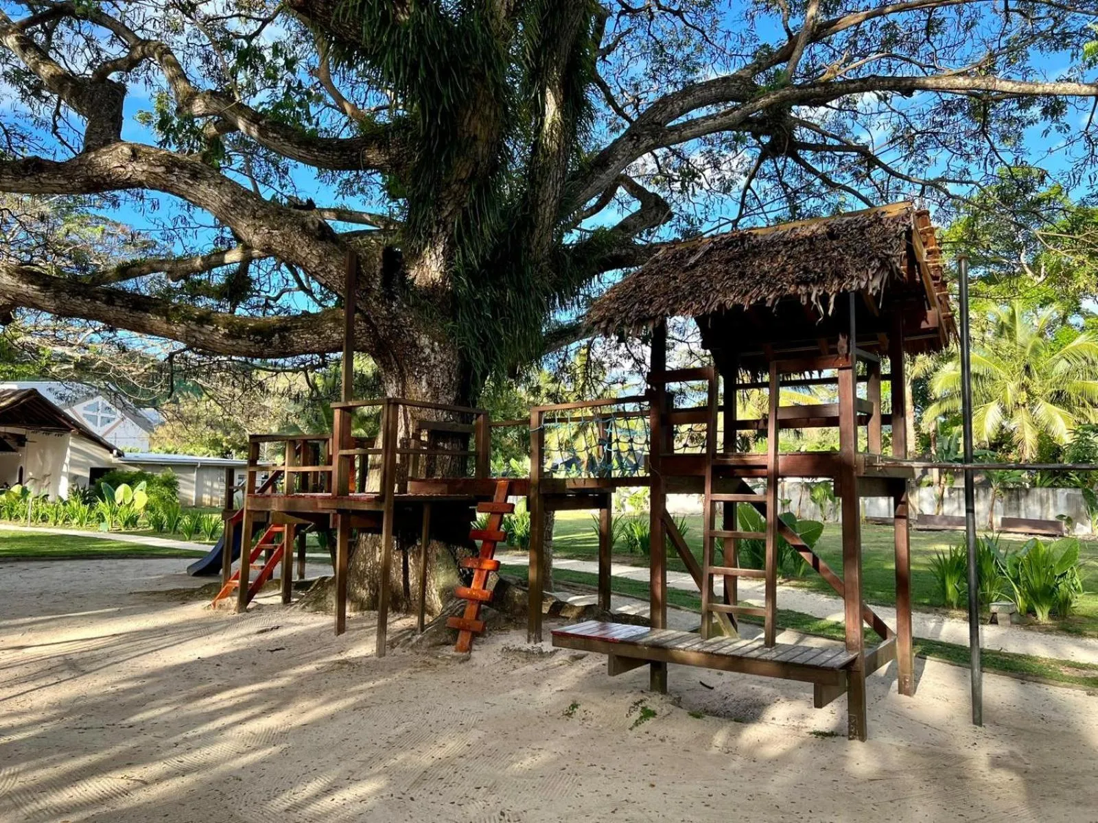 Natural landscape in MG Cocomo Resort Vanuatu