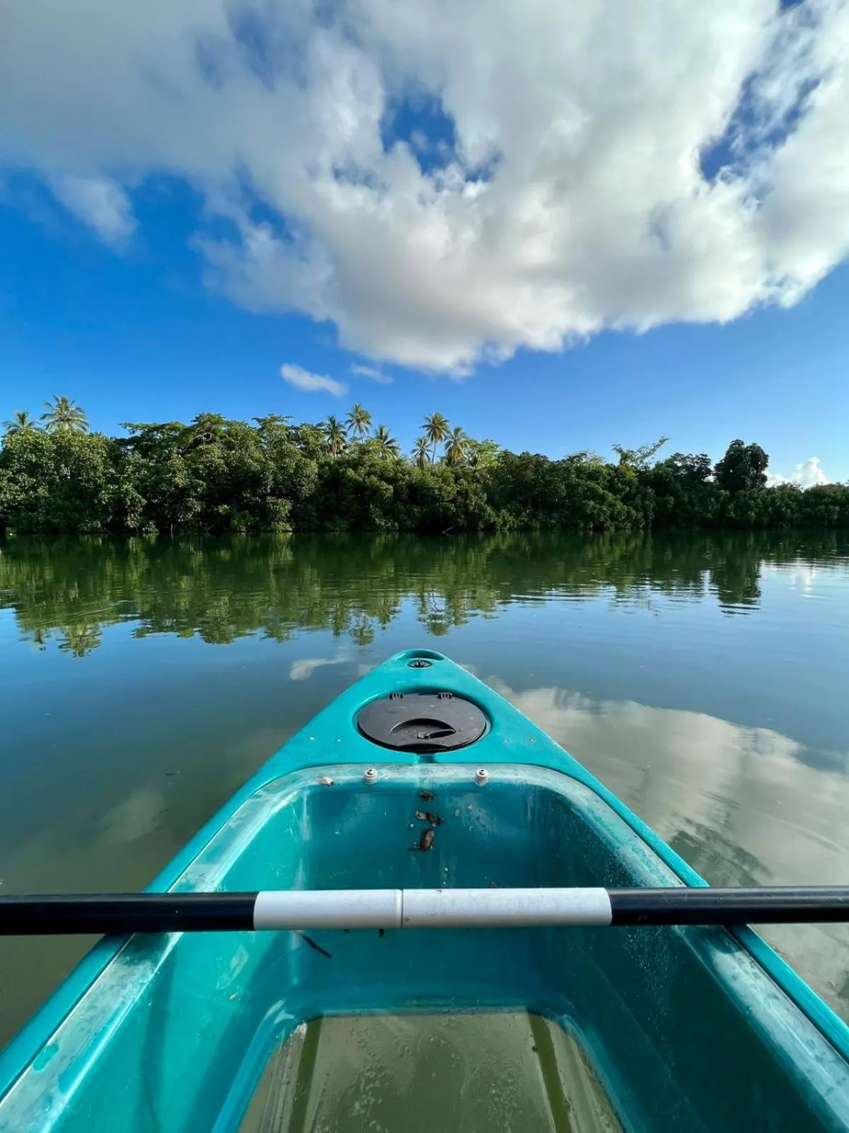 Natural landscape in MG Cocomo Resort Vanuatu