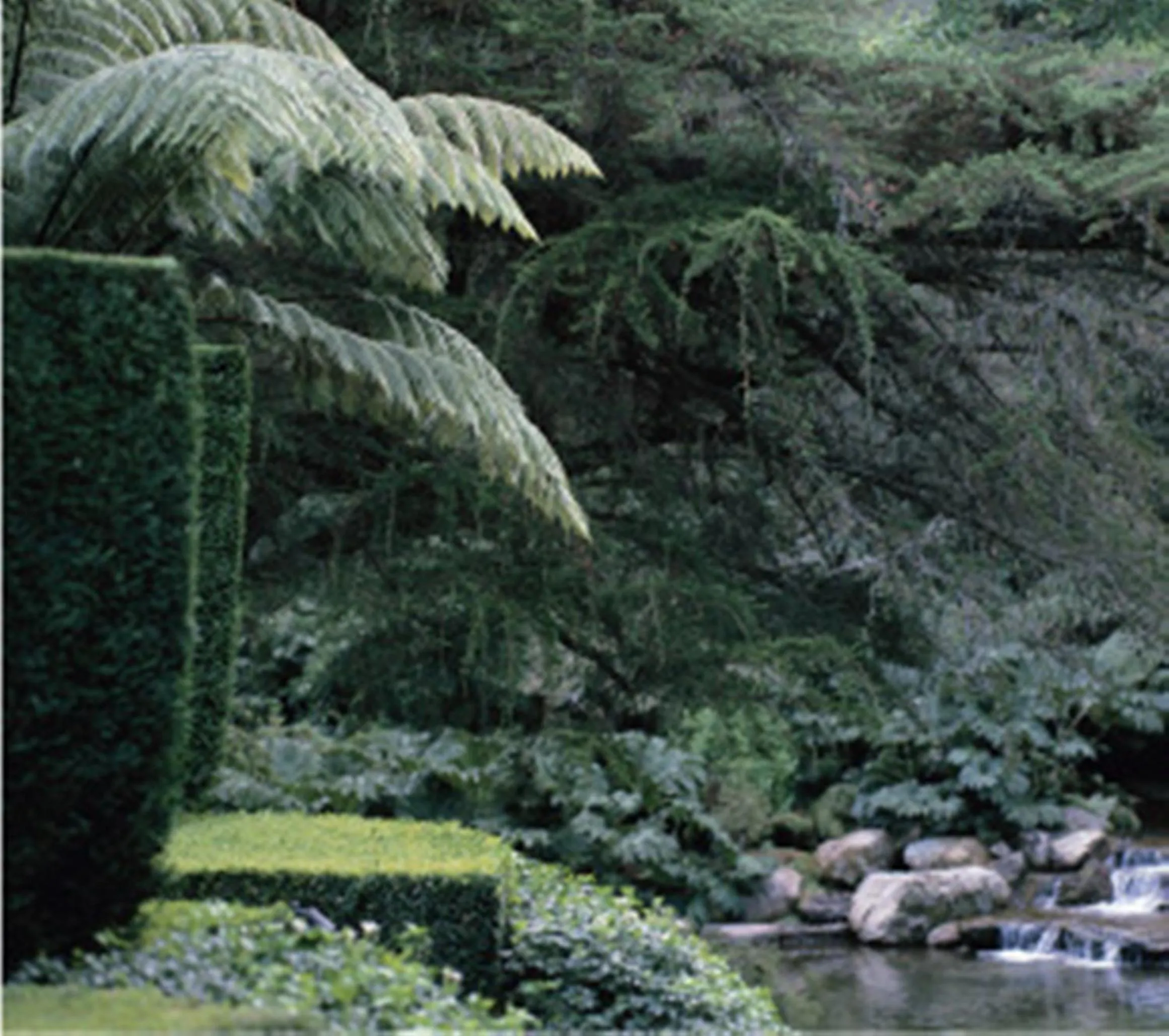 Natural landscape in Huka Lodge