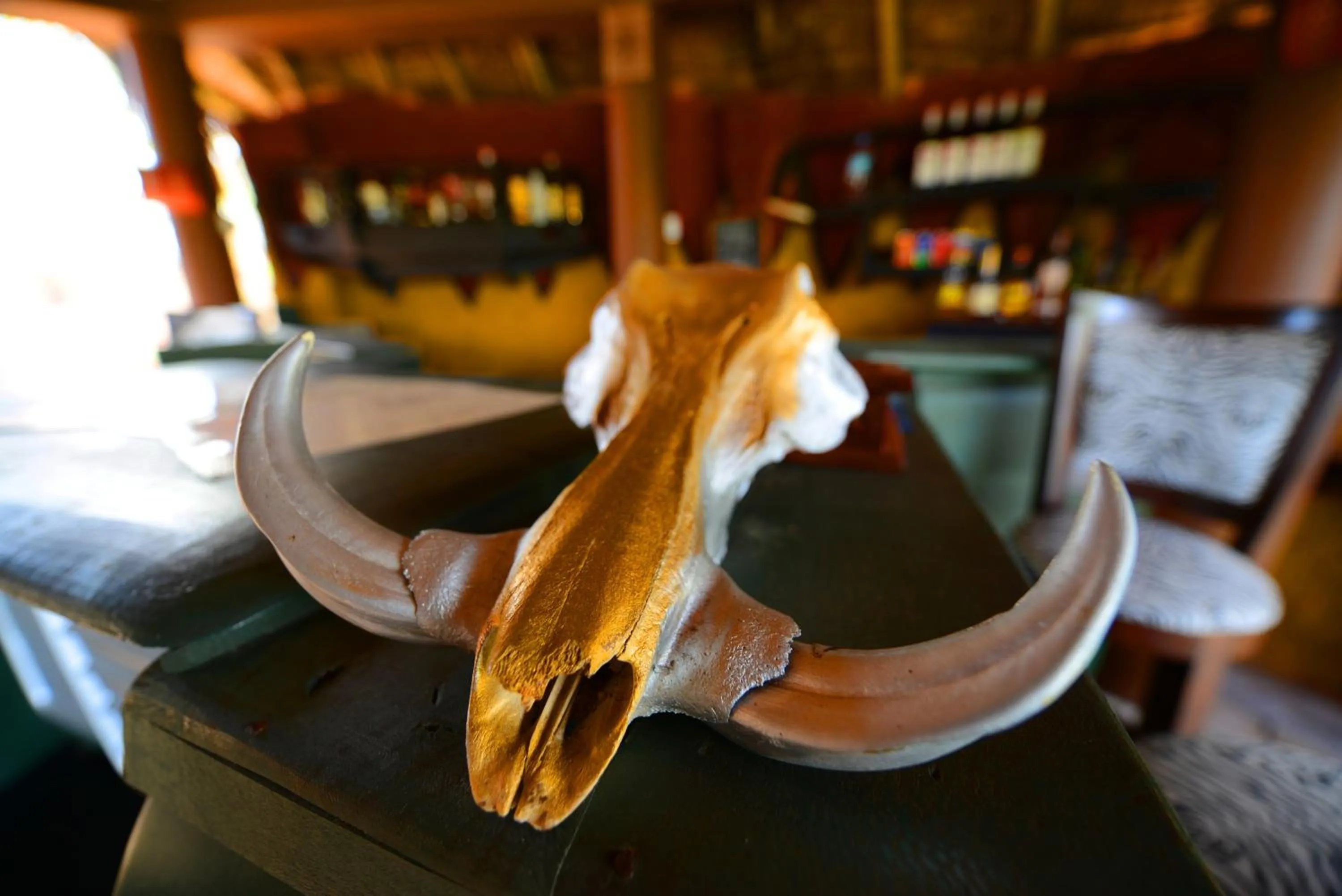 Lounge or bar in Sable Mountain Lodge, A Tent with a View Safaris