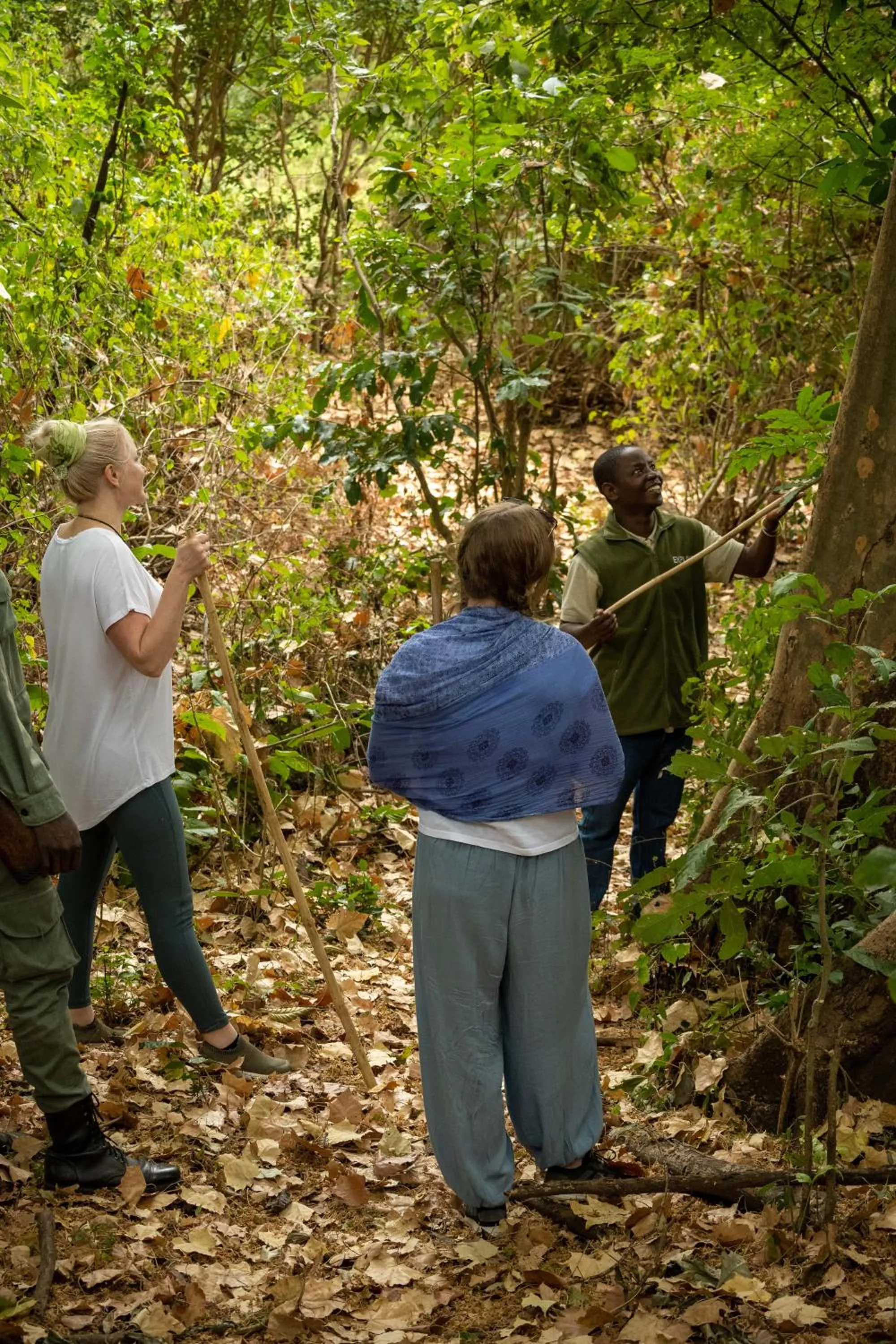 Activities in Sable Mountain Lodge, A Tent with a View Safaris