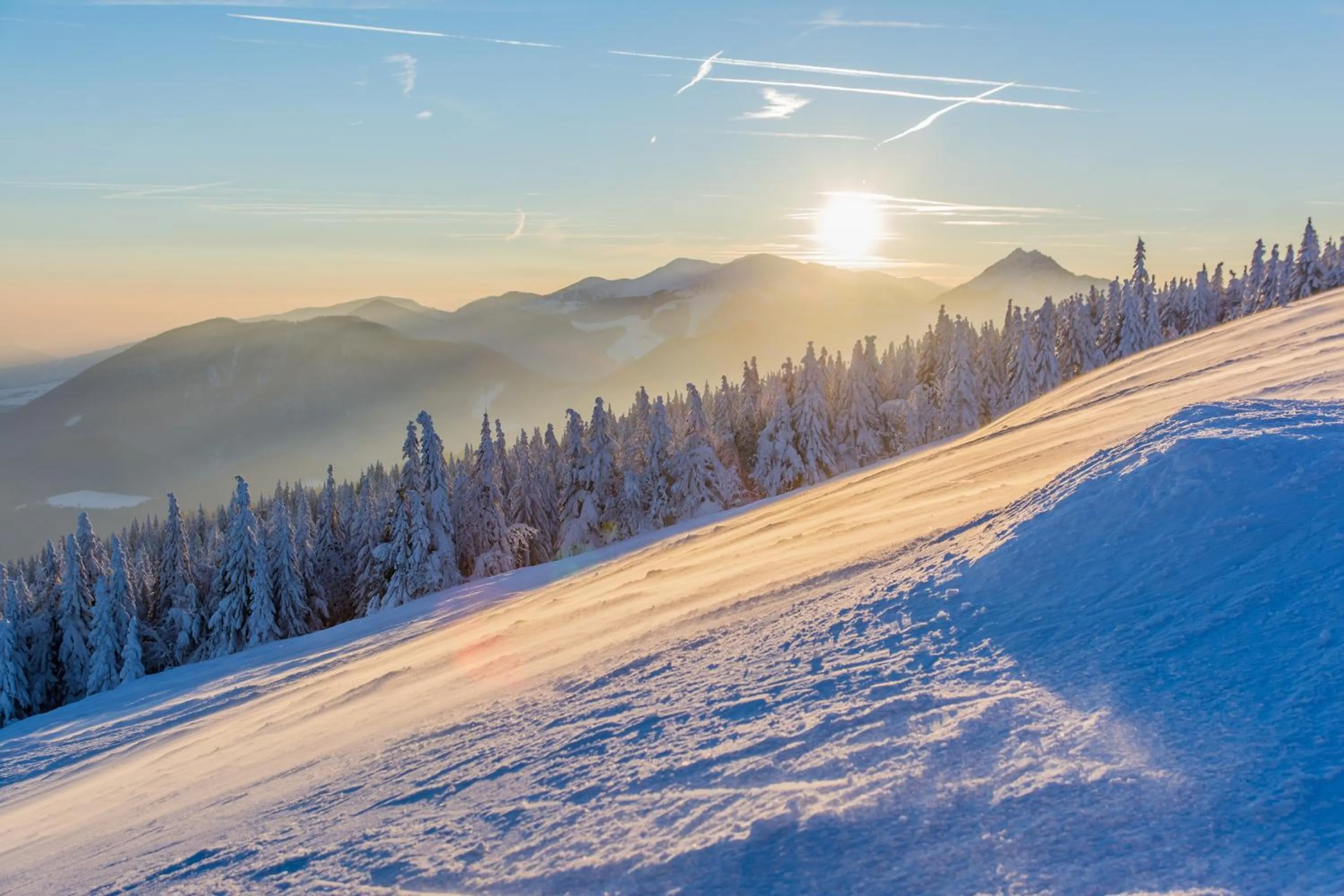 Winter in Hotel Green