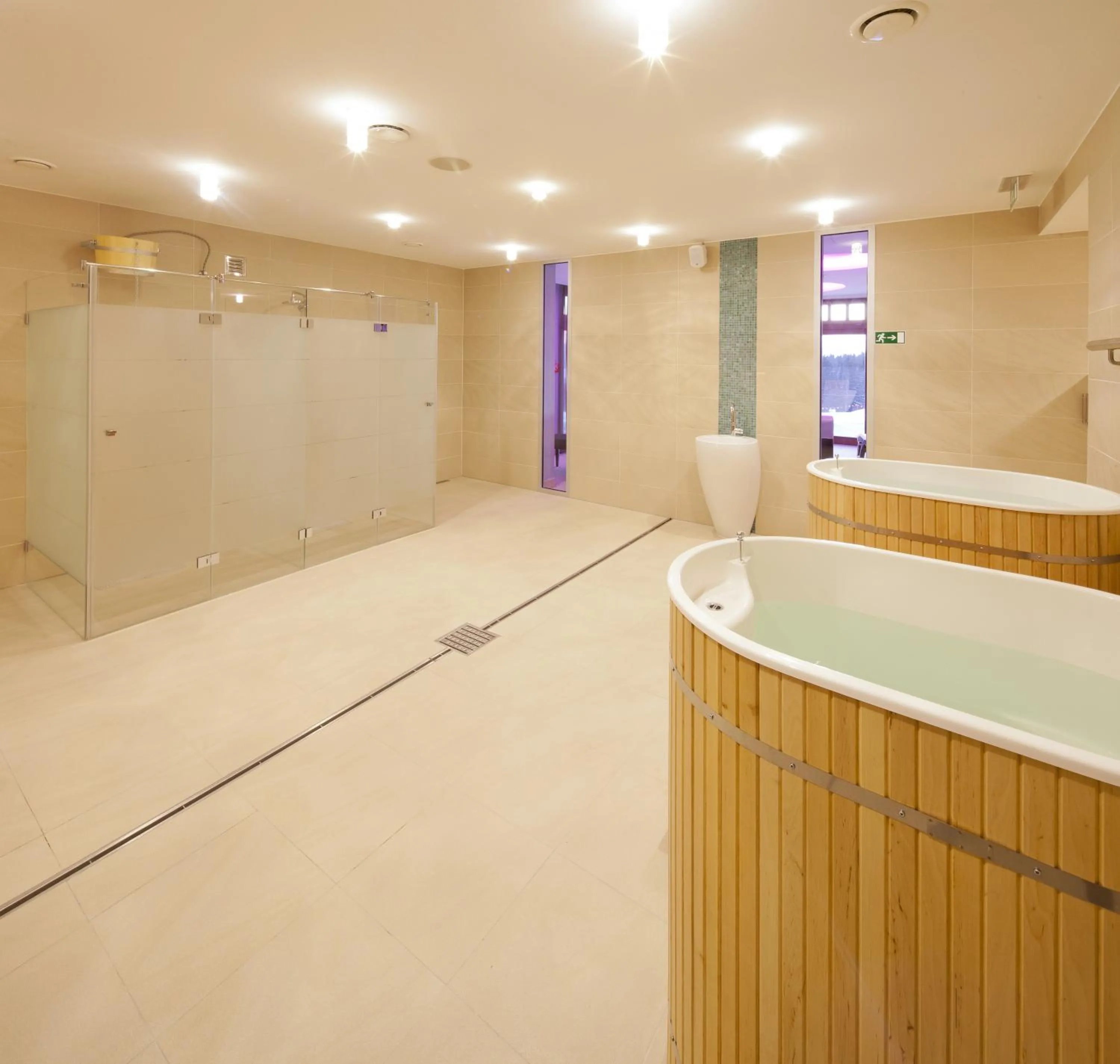 Spa and wellness centre/facilities in Hotel Green