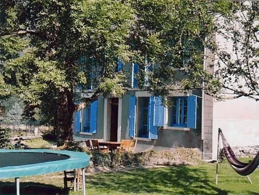 Activities in Papilio