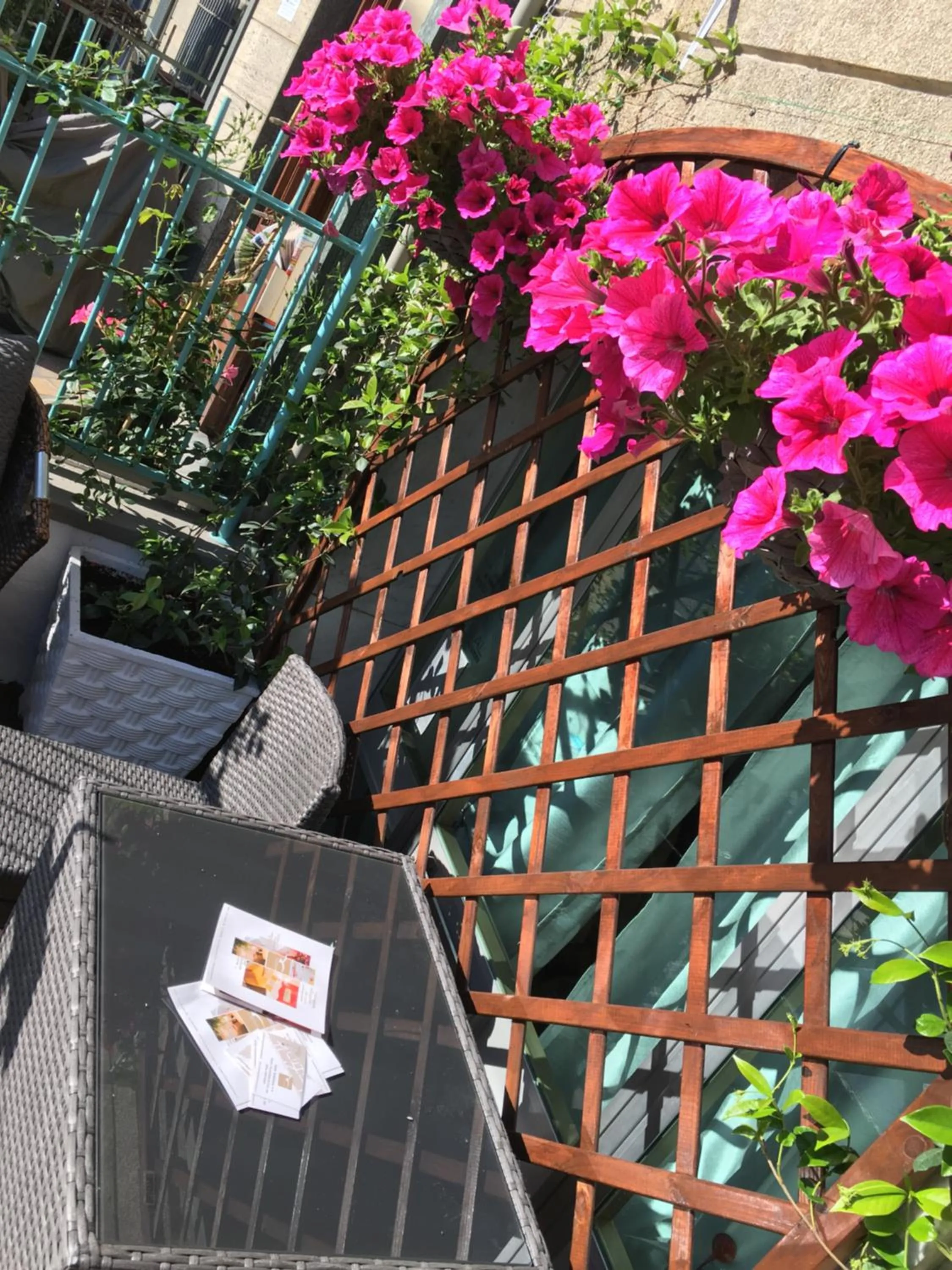 Balcony/Terrace in Hotel Gabbiano