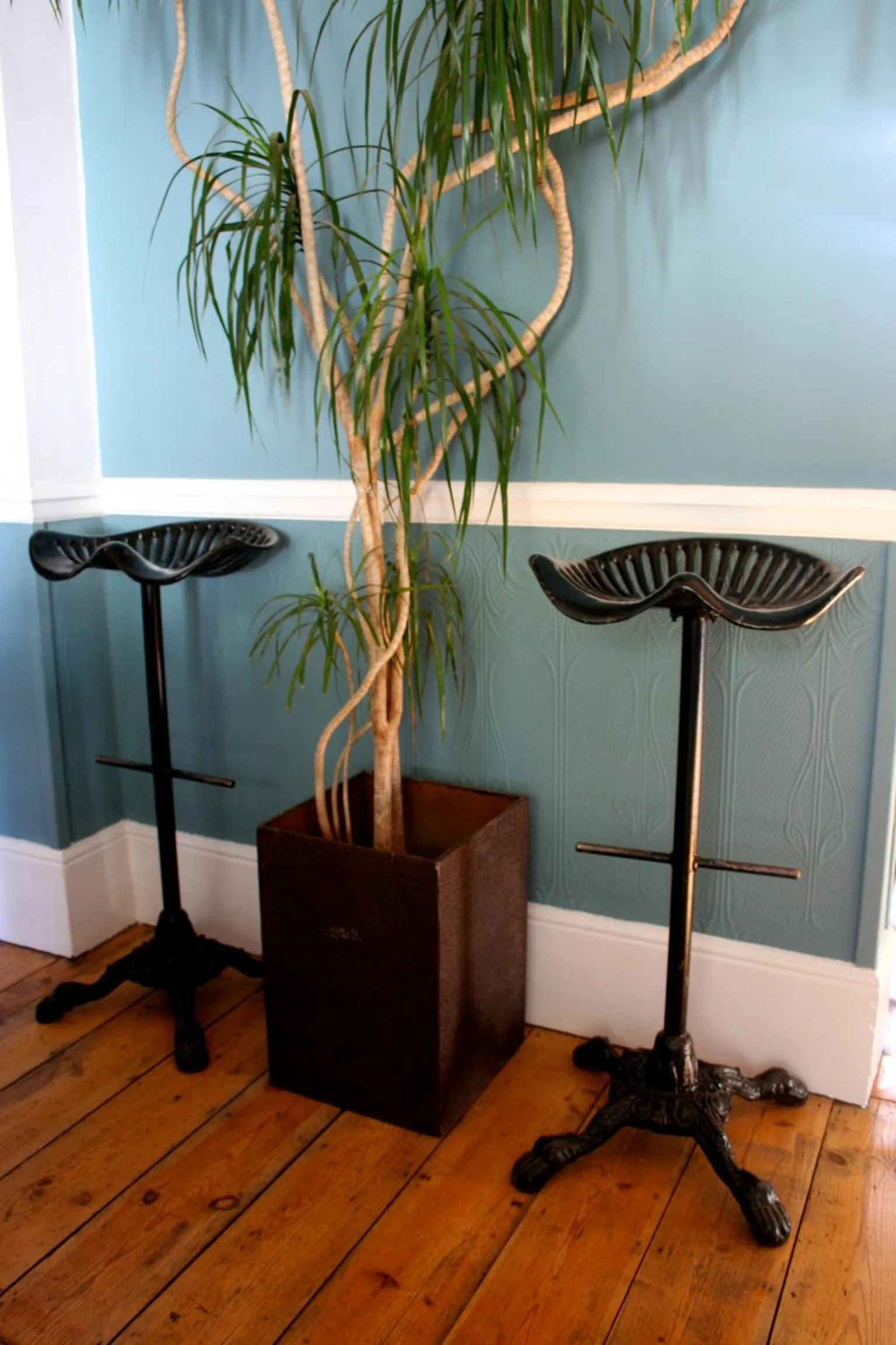 Lobby or reception in The Telstar