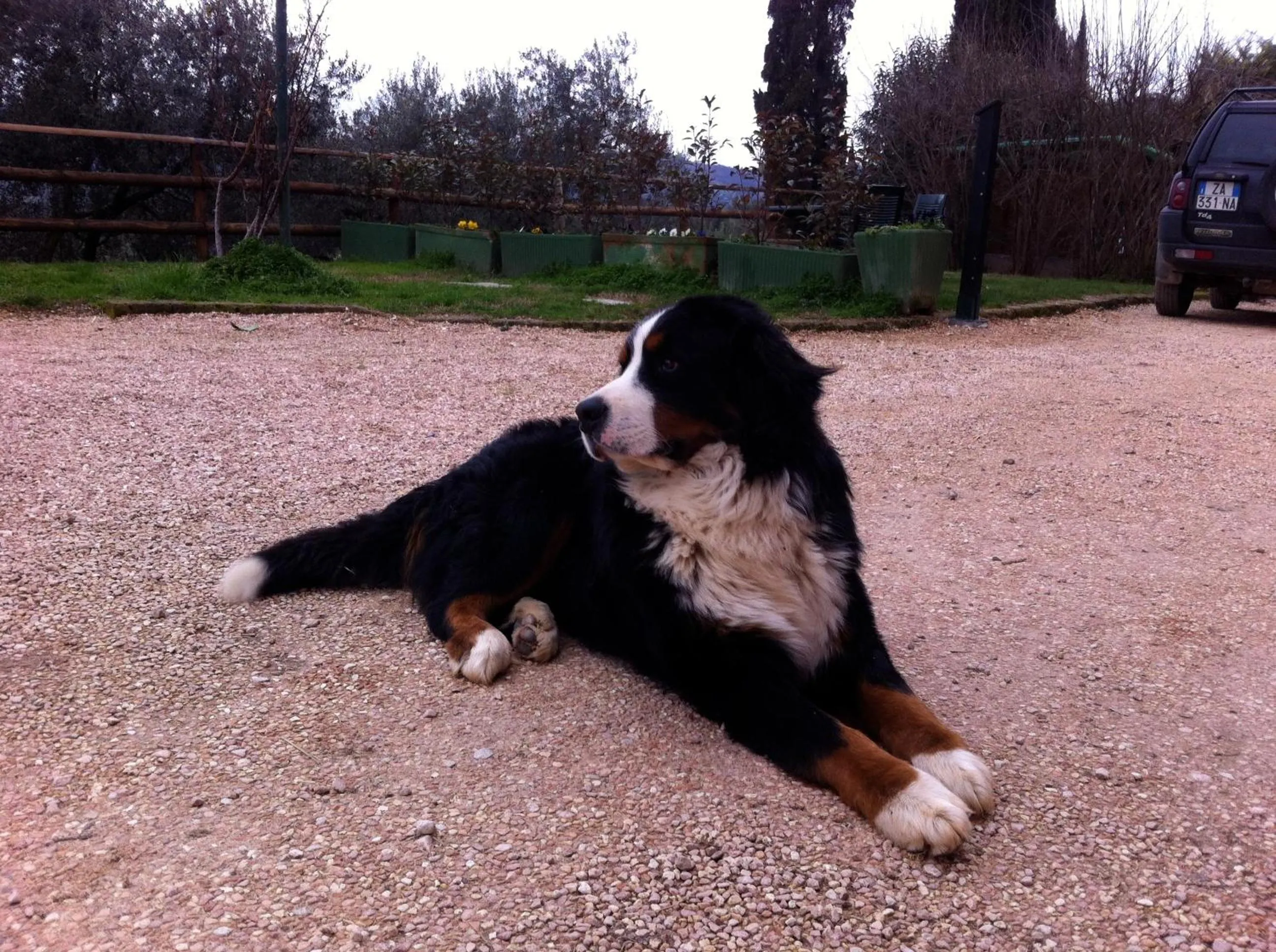 Other in Agriturismo Casa Rosa
