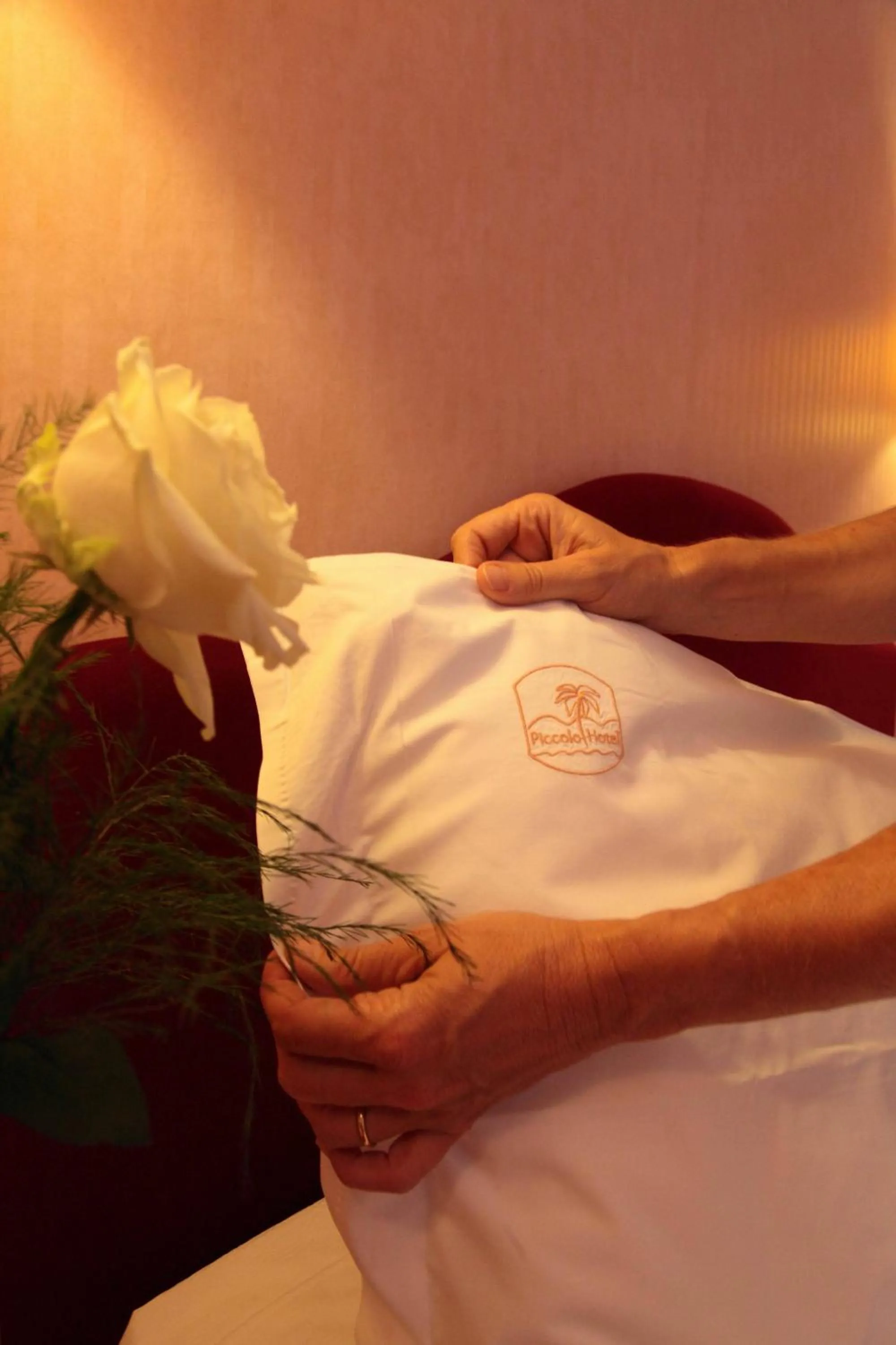 Decorative detail in Piccolo Hotel