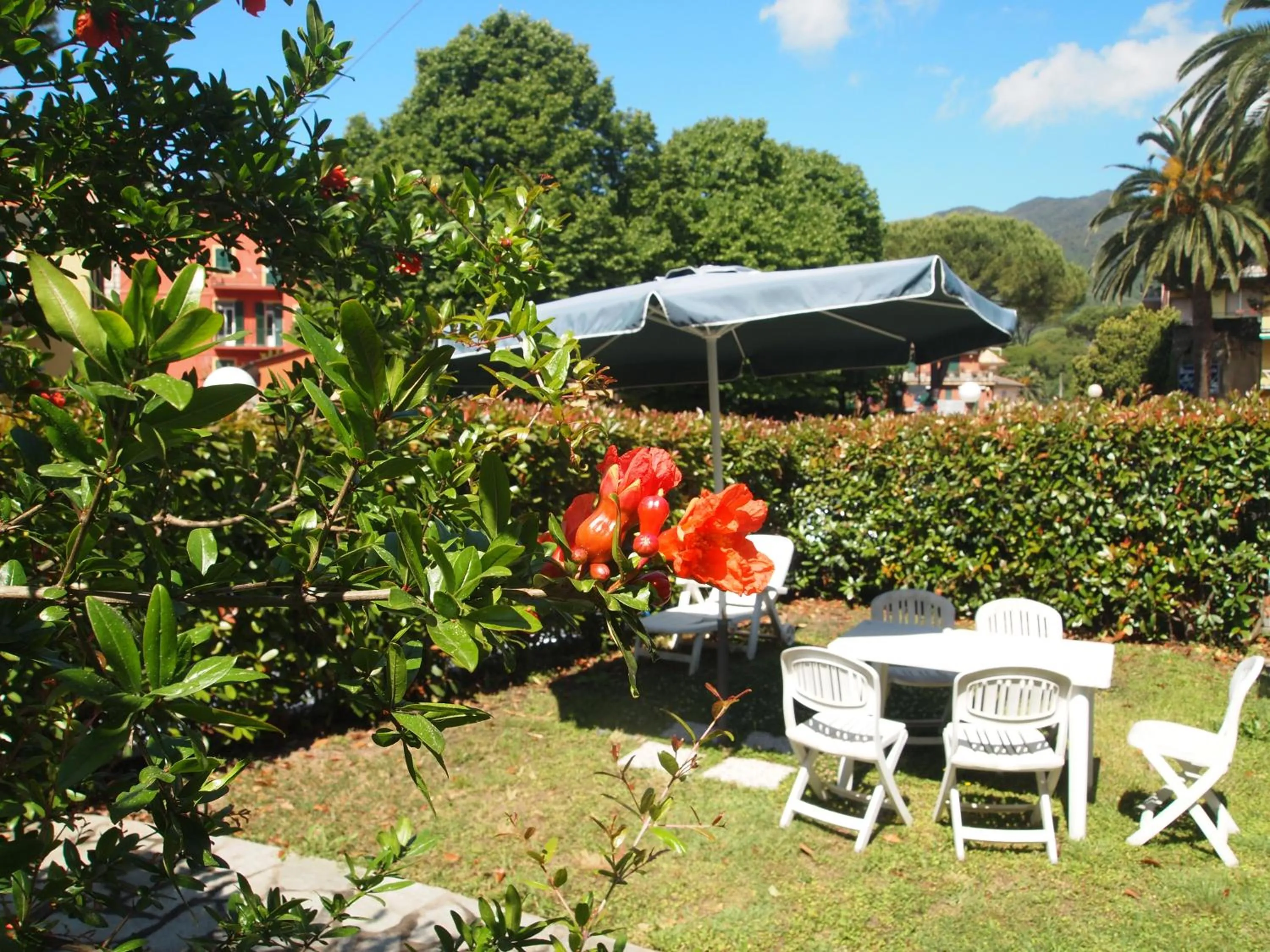 Other in Piccolo Hotel