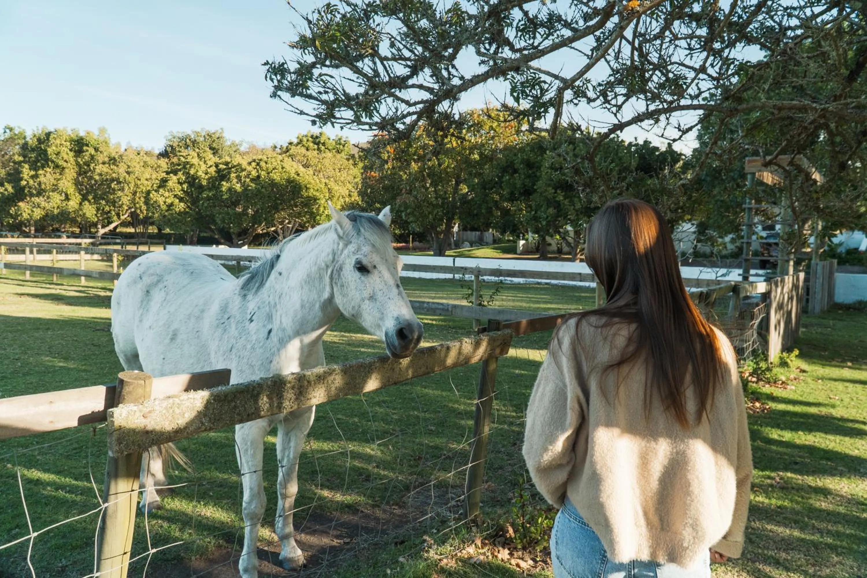 Animals in Bitou River Lodge