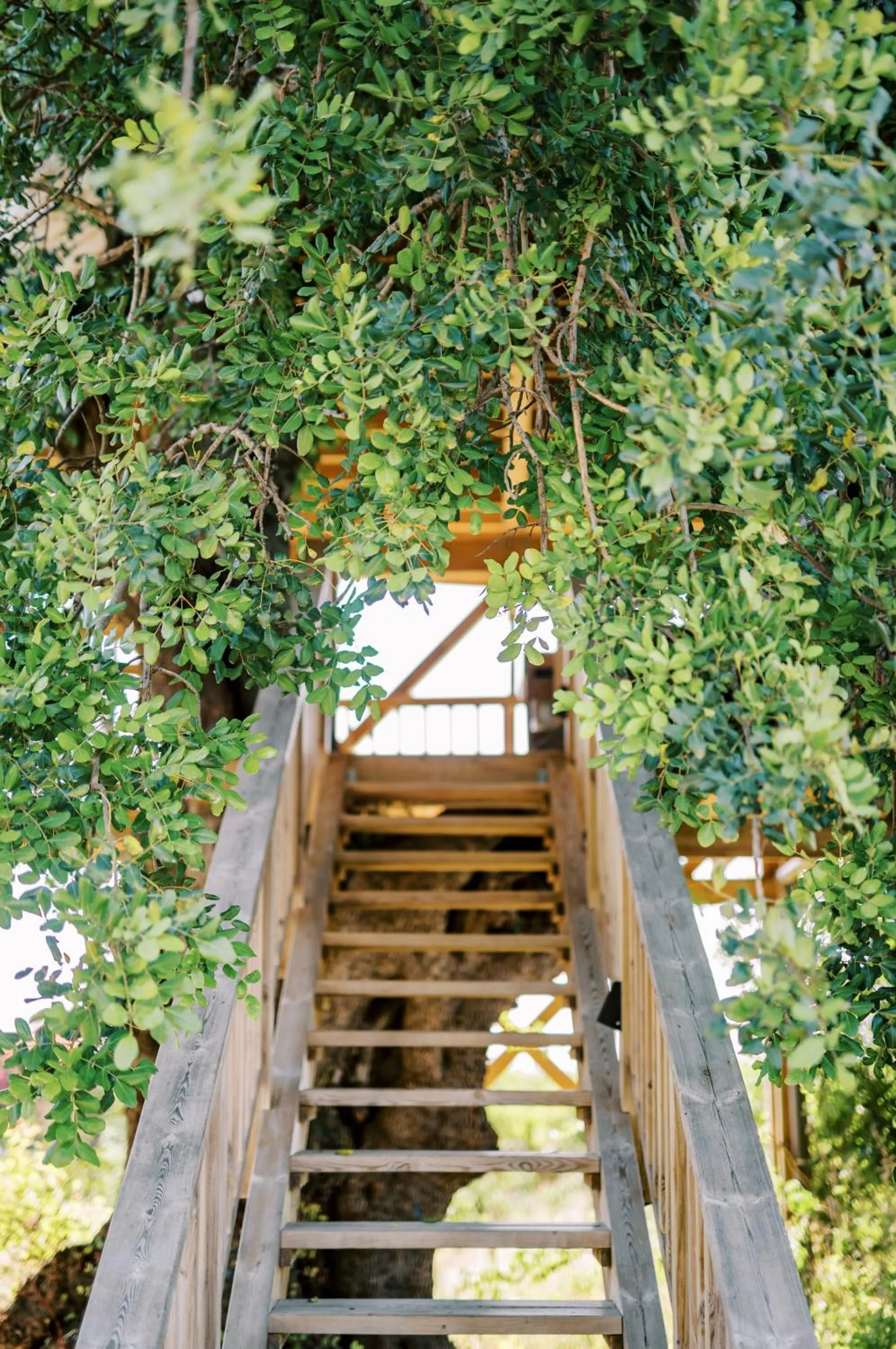 Conversas de Alpendre