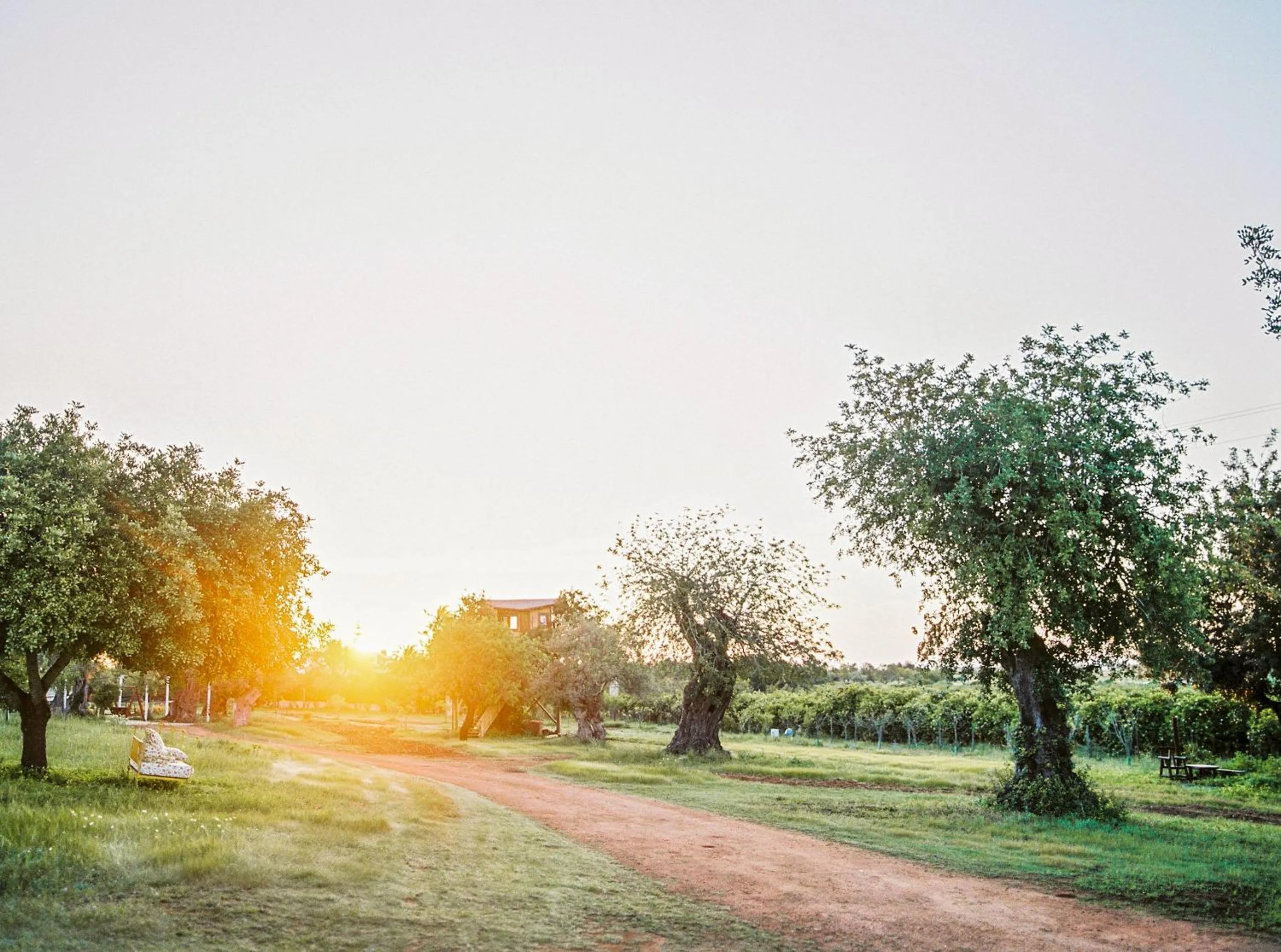 Garden in Conversas de Alpendre
