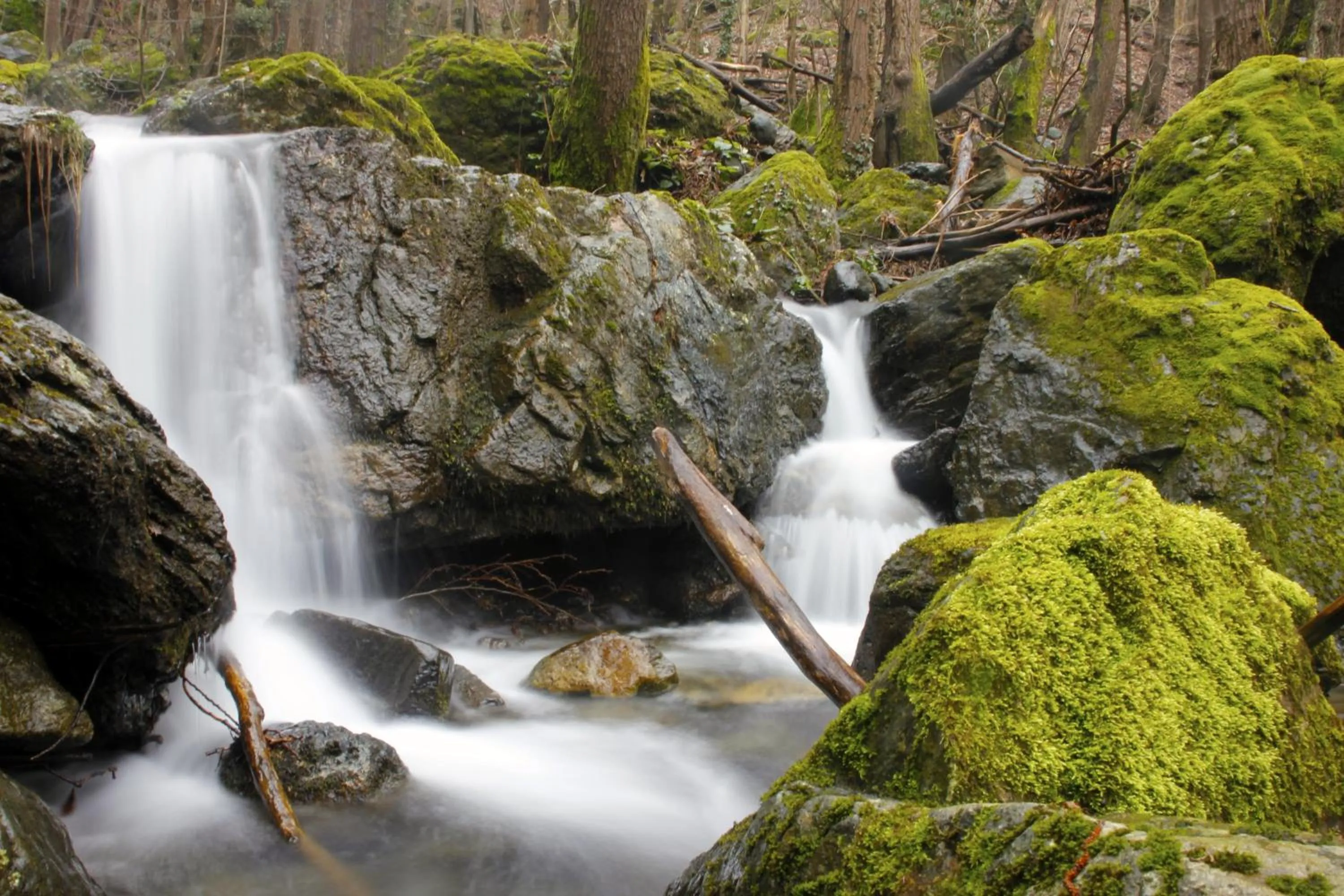 Spring in Hotel Pian del Sole