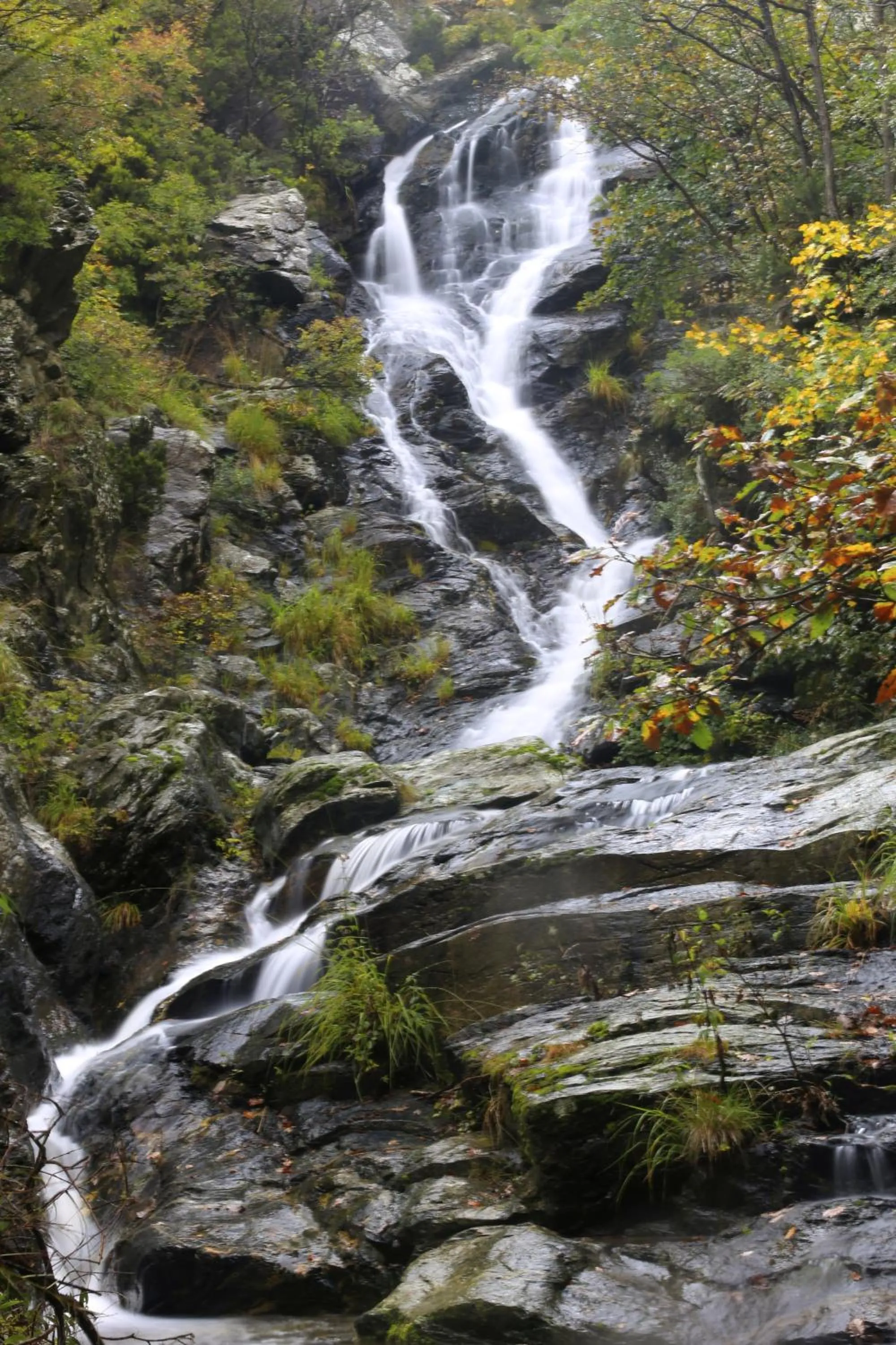 Hiking in Hotel Pian del Sole