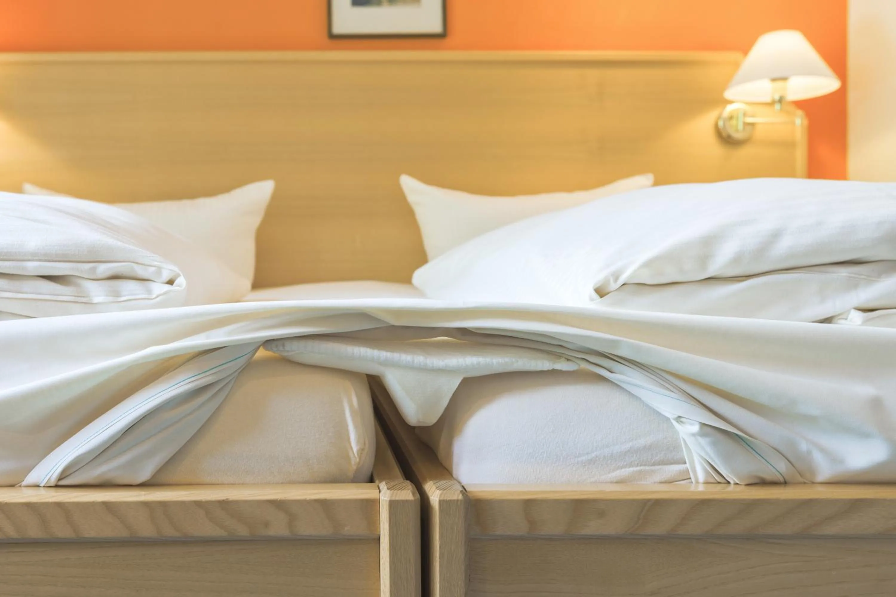 Bed in Alphotel Ettal