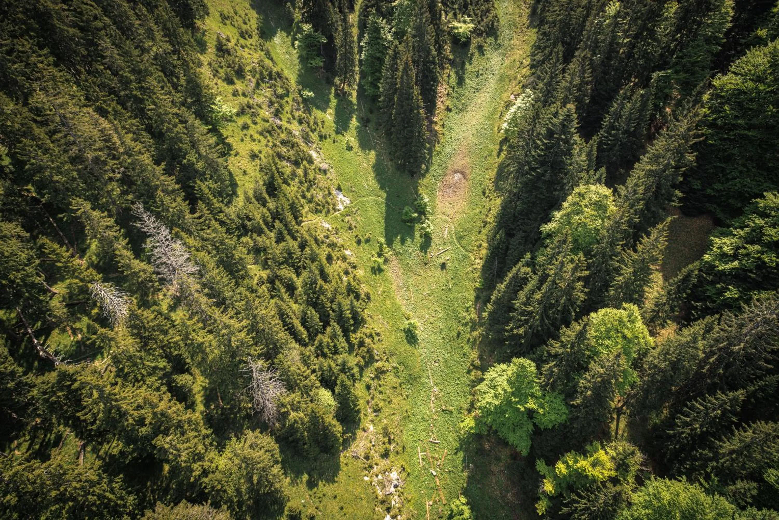 Nearby landmark in Alphotel Ettal