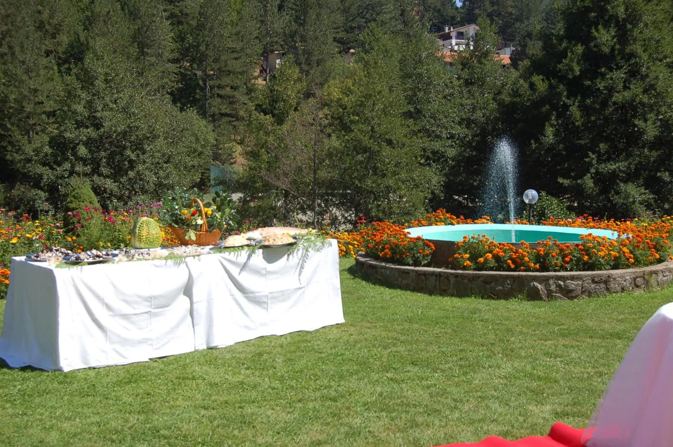 Garden in hotel lo sciatore