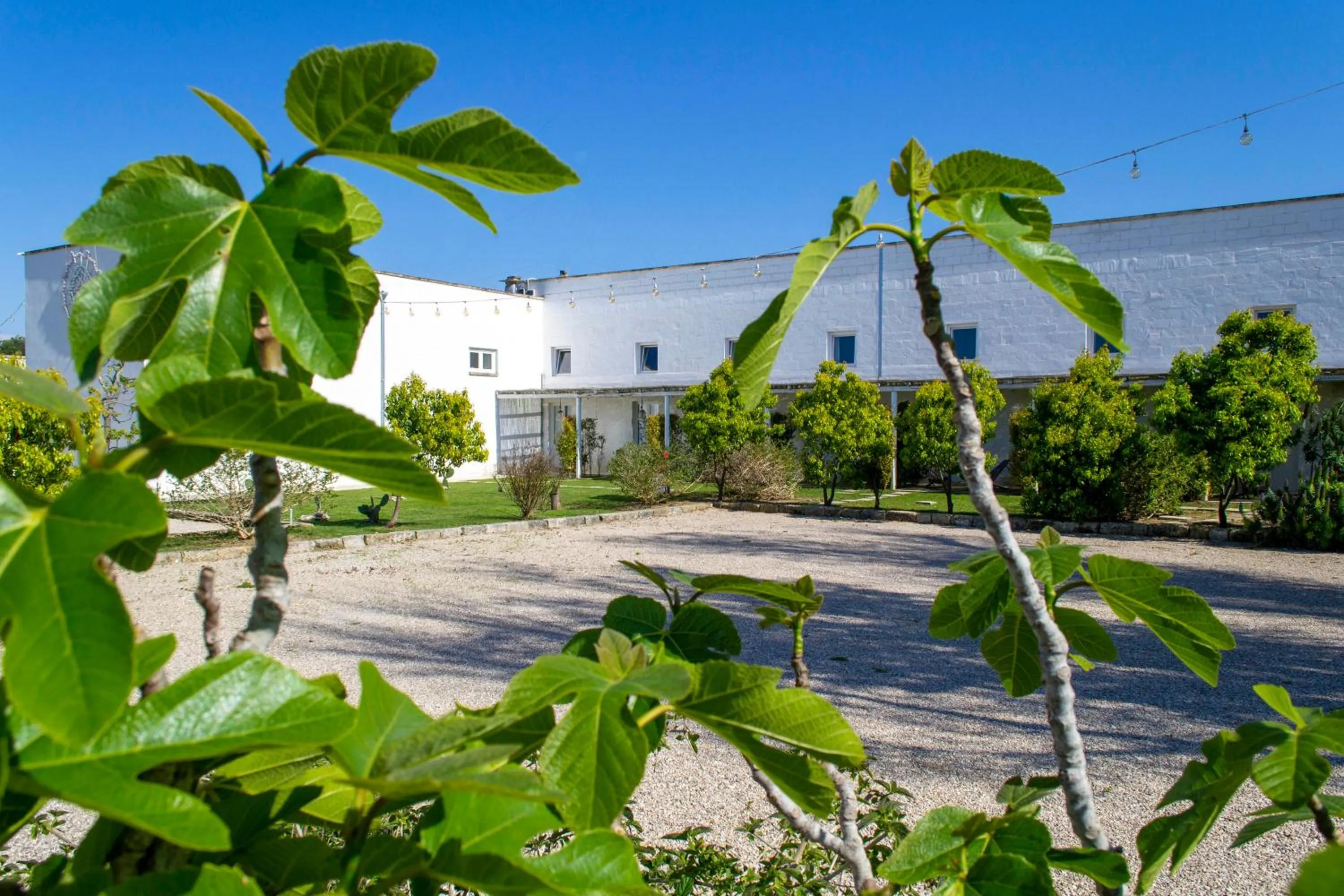 Property building in Masseria Rauccio