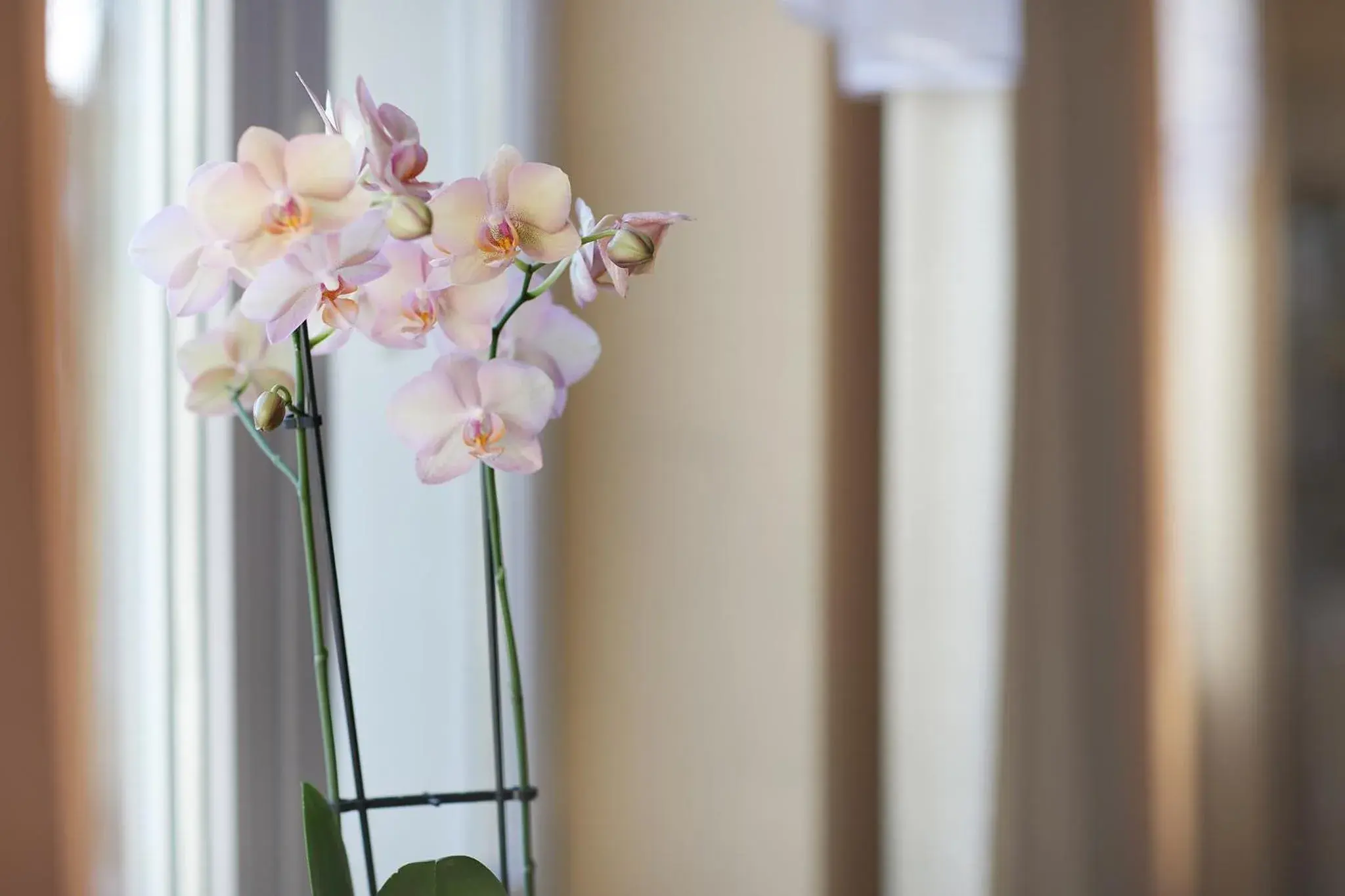 Double Room in Hotel Włókniarz Double Room in Hotel Włókniarz