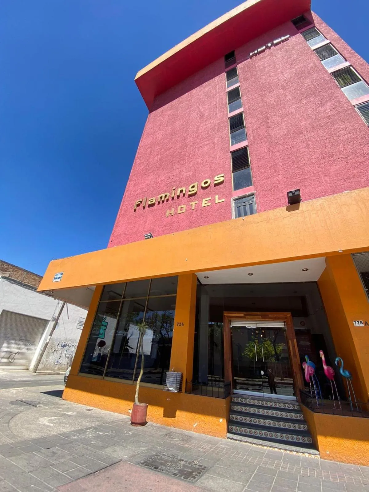 Property building in Hotel Flamingos