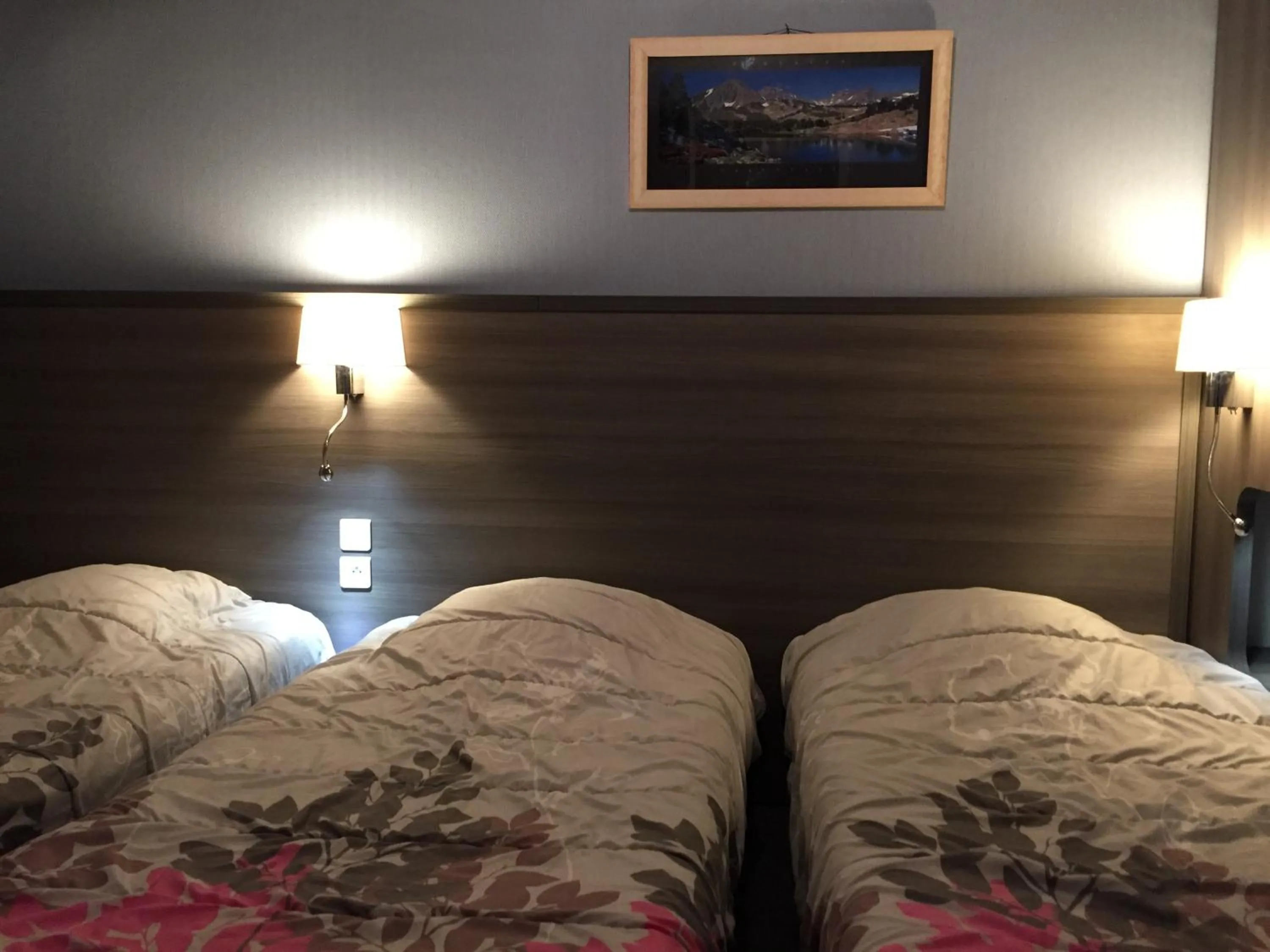 Bed in Hôtel de L'Avenue