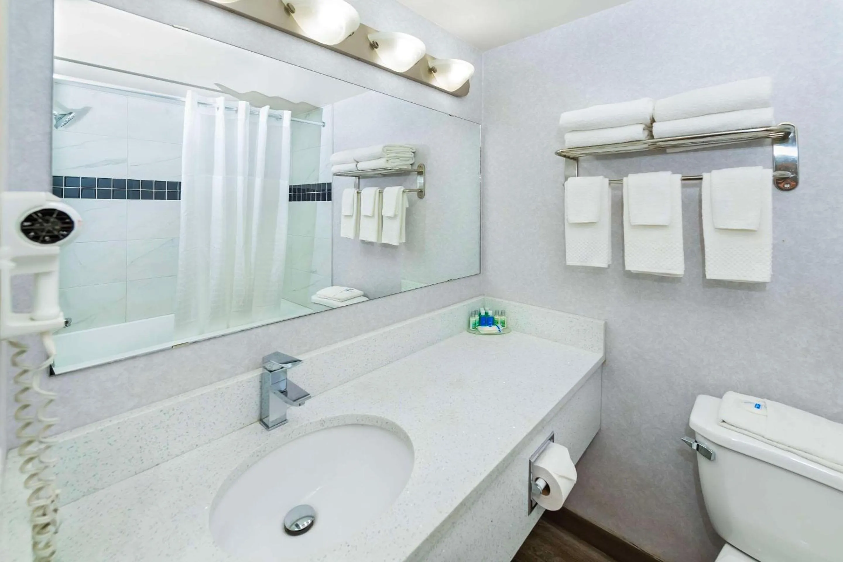 Bedroom in Rodeway Inn