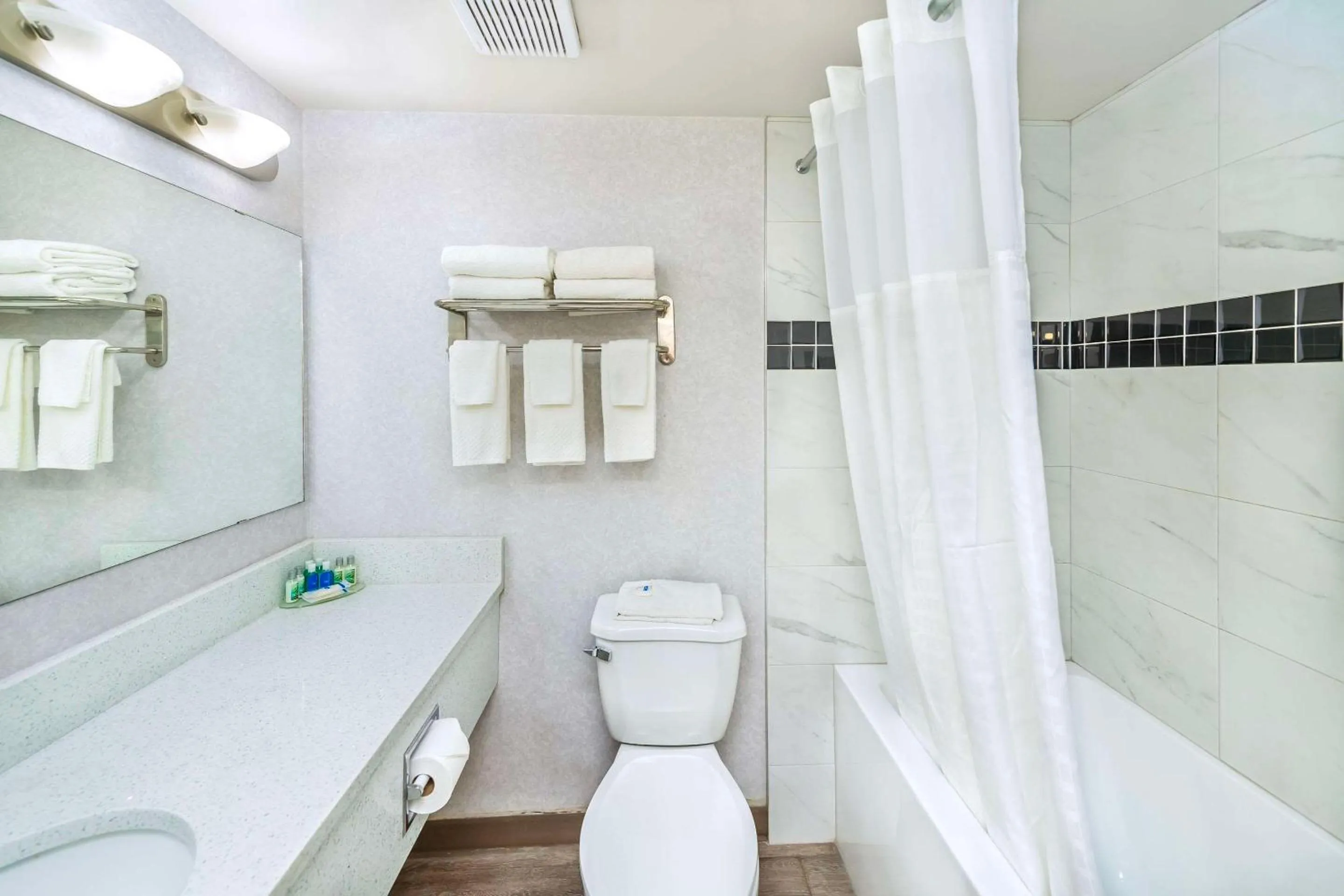 Bedroom in Rodeway Inn