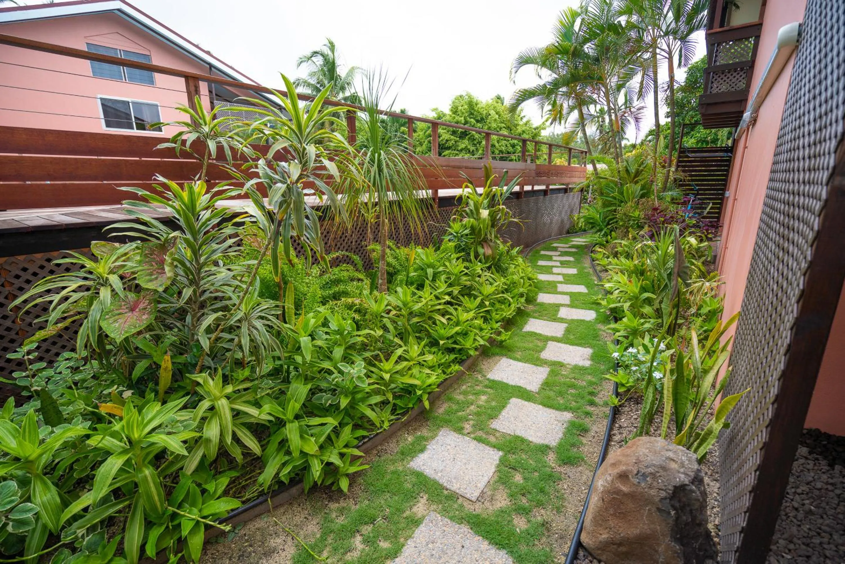 Garden in BORA BORA HOLIDAY'S LODGE
