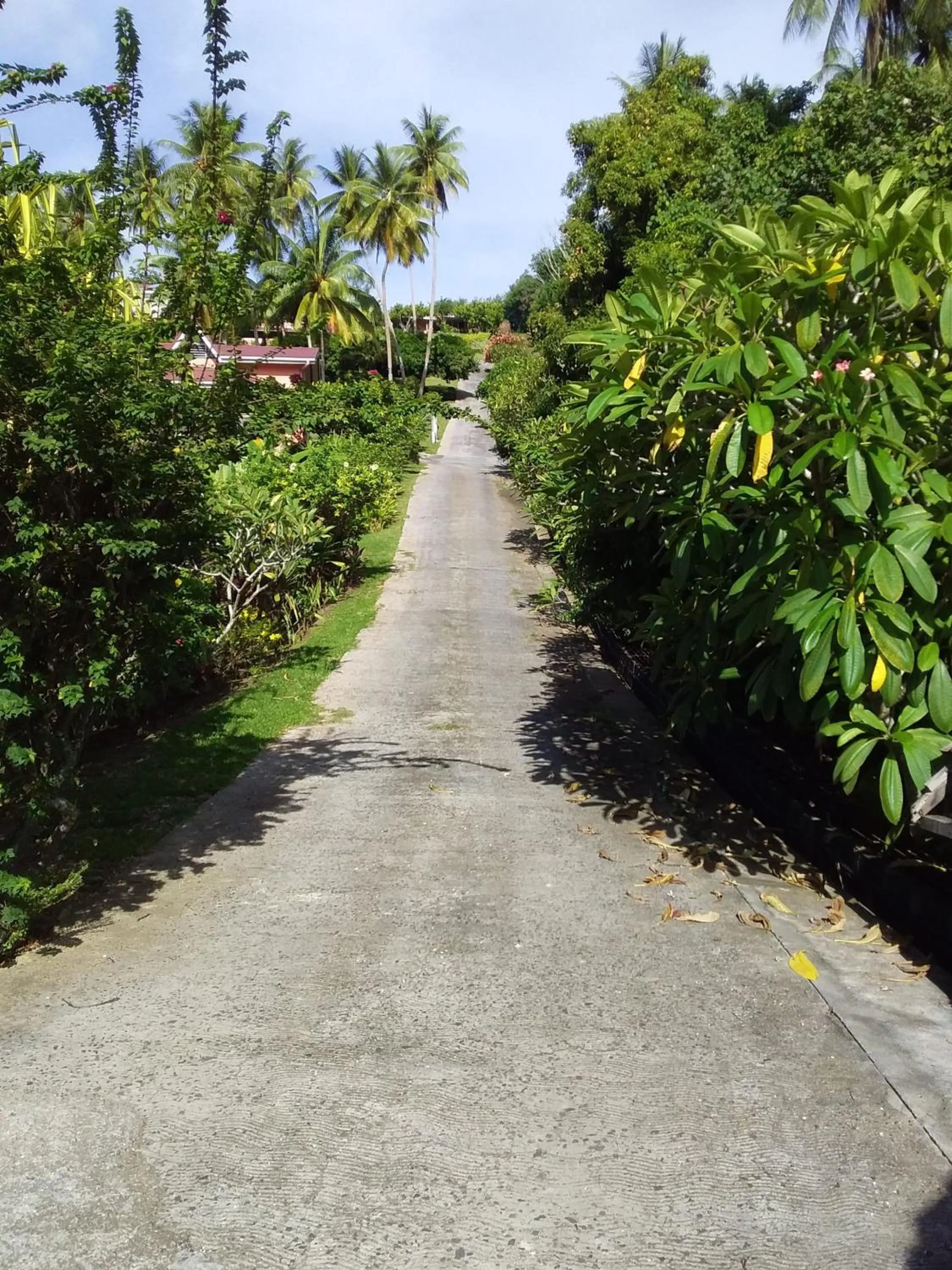 Garden in BORA BORA HOLIDAY'S LODGE