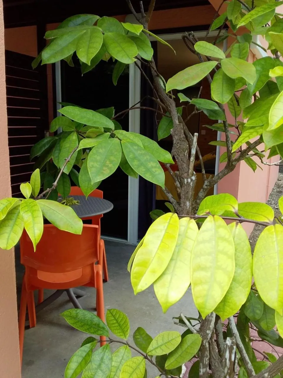 Patio in BORA BORA HOLIDAY'S LODGE