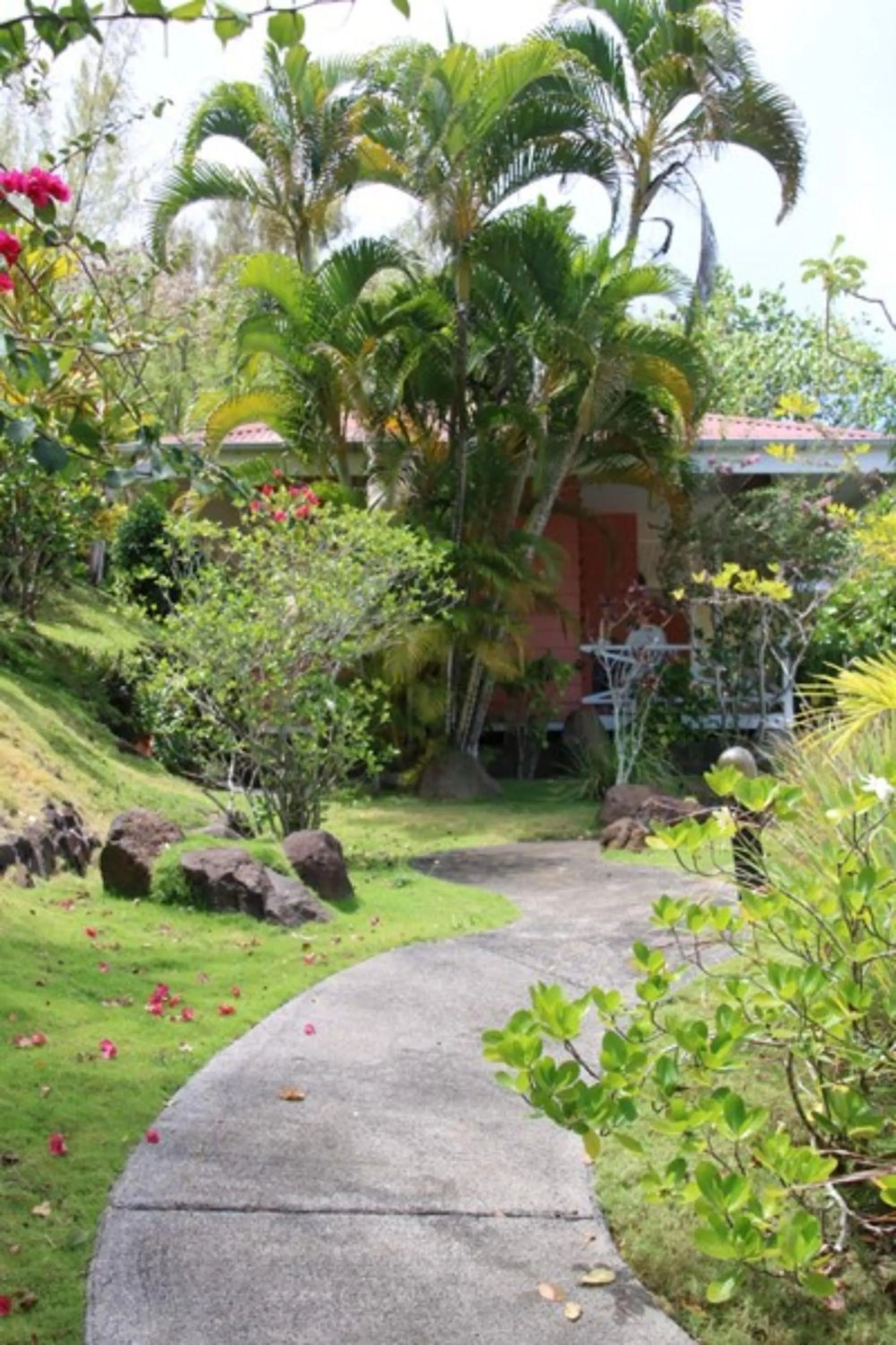 Garden view in BORA BORA HOLIDAY'S LODGE