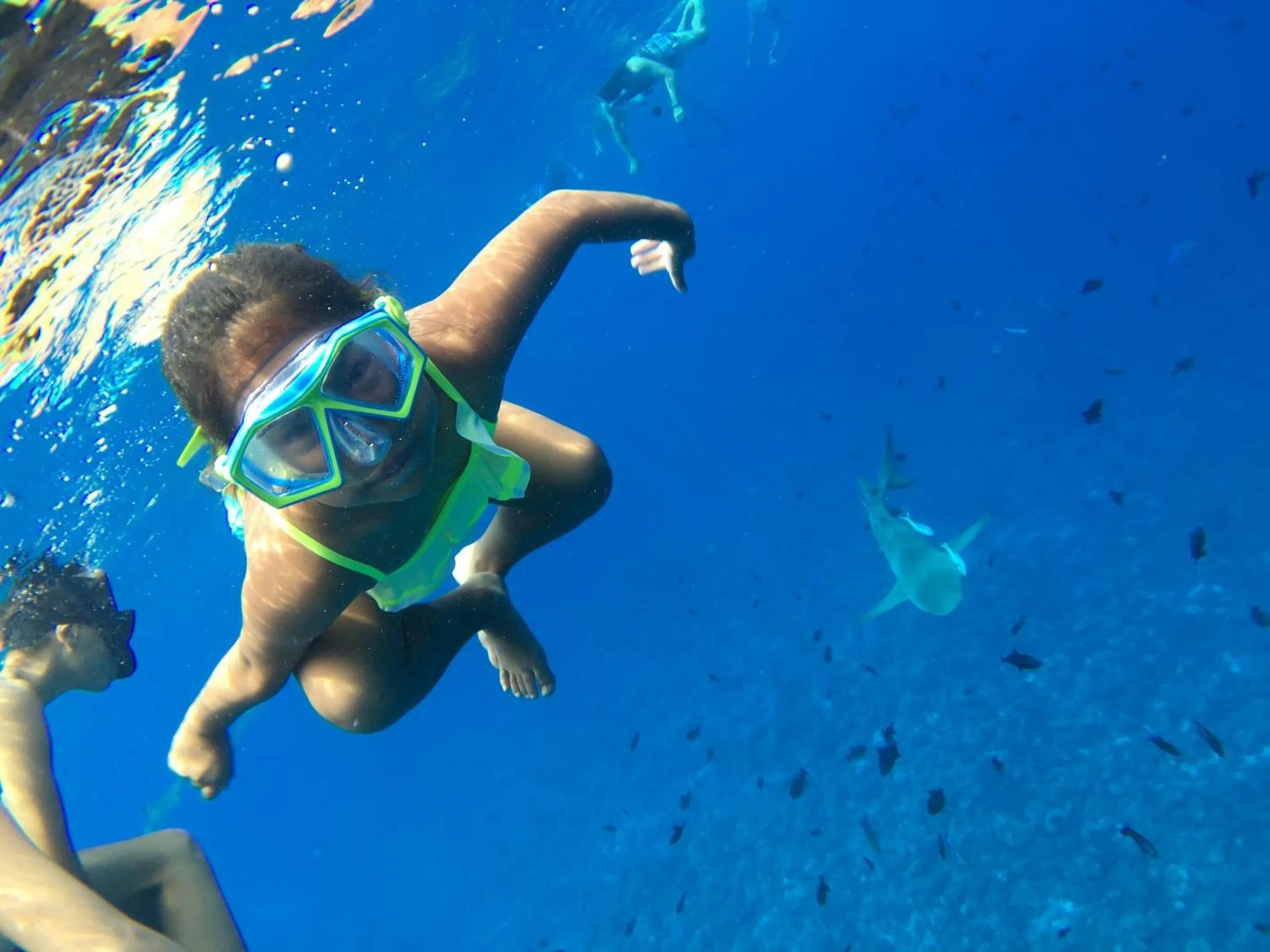 Snorkeling in BORA BORA HOLIDAY'S LODGE
