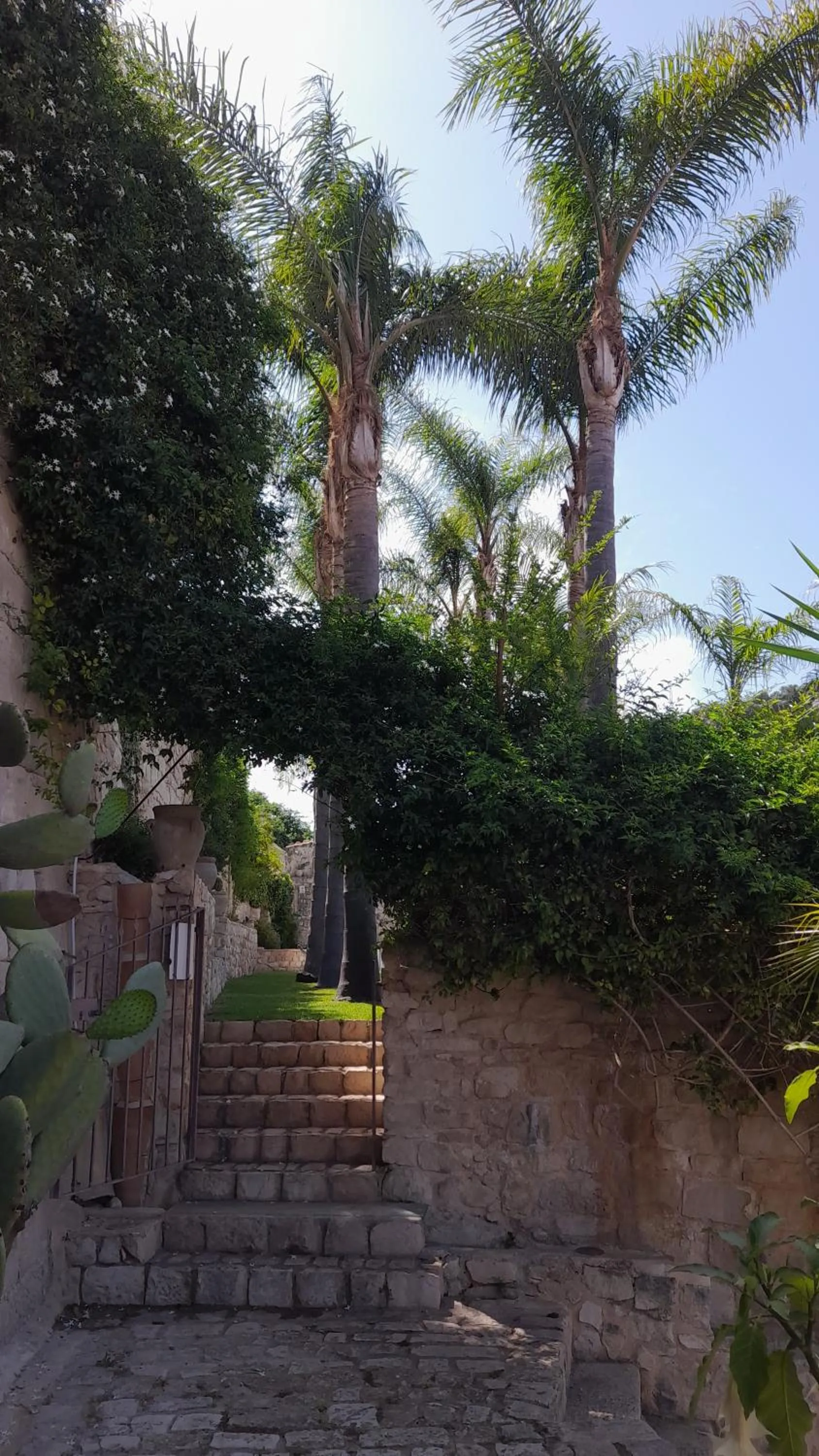 Garden in Borgo Hedone