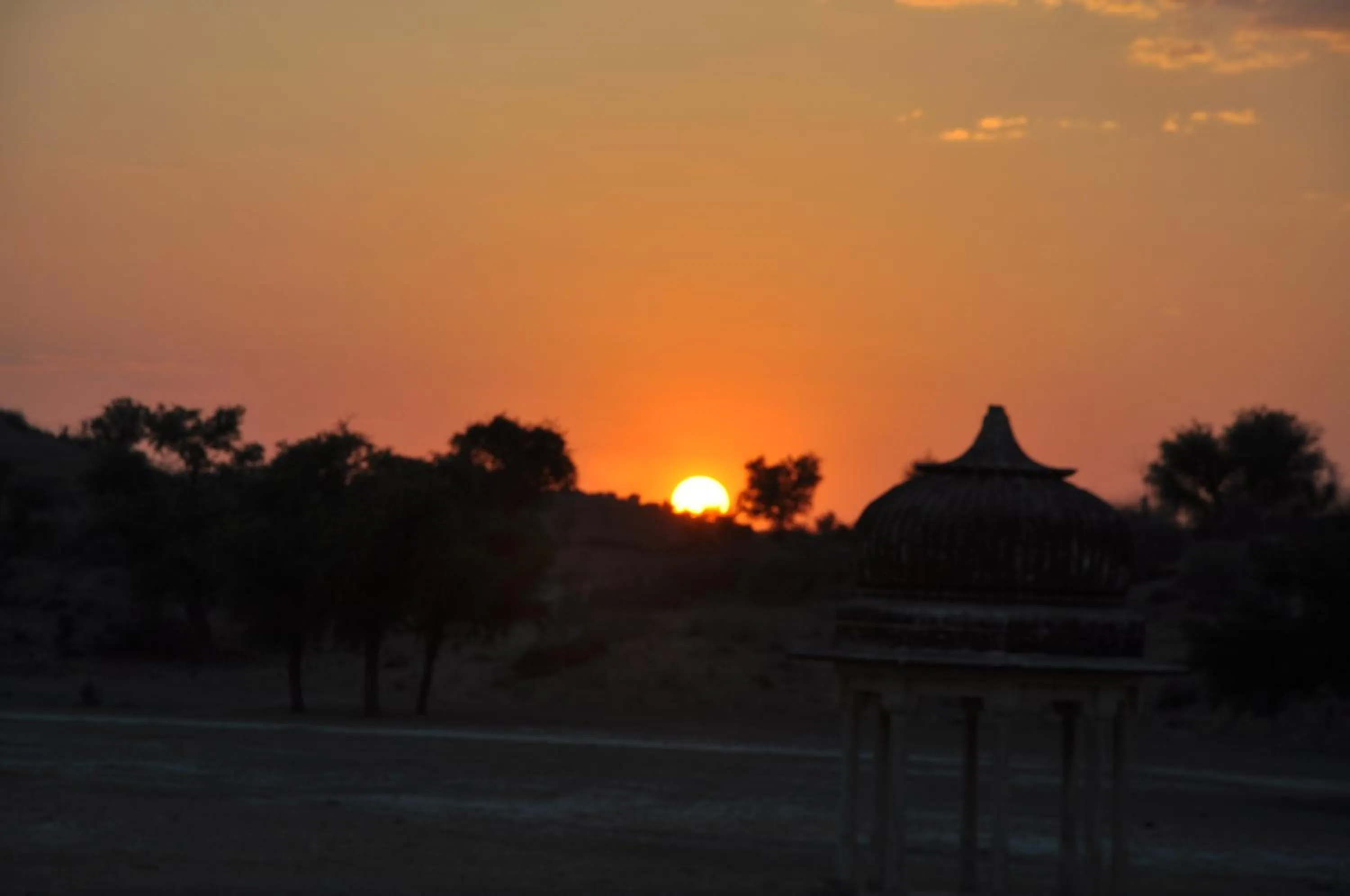 Activities in Malji Ka Kamra