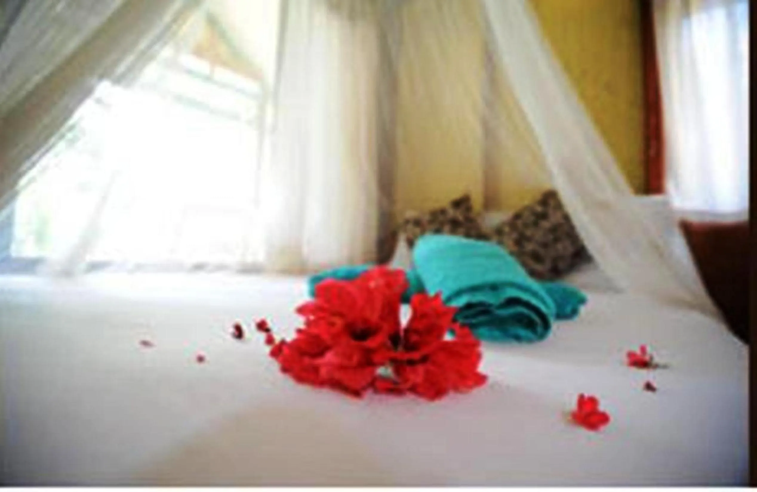 Bed in Smile Bungalow Bottle Beach