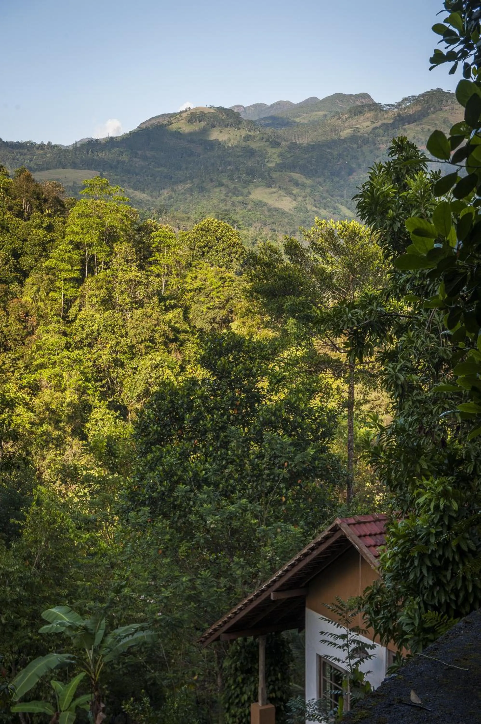 Mountain view in The Kandy Samadhicentre