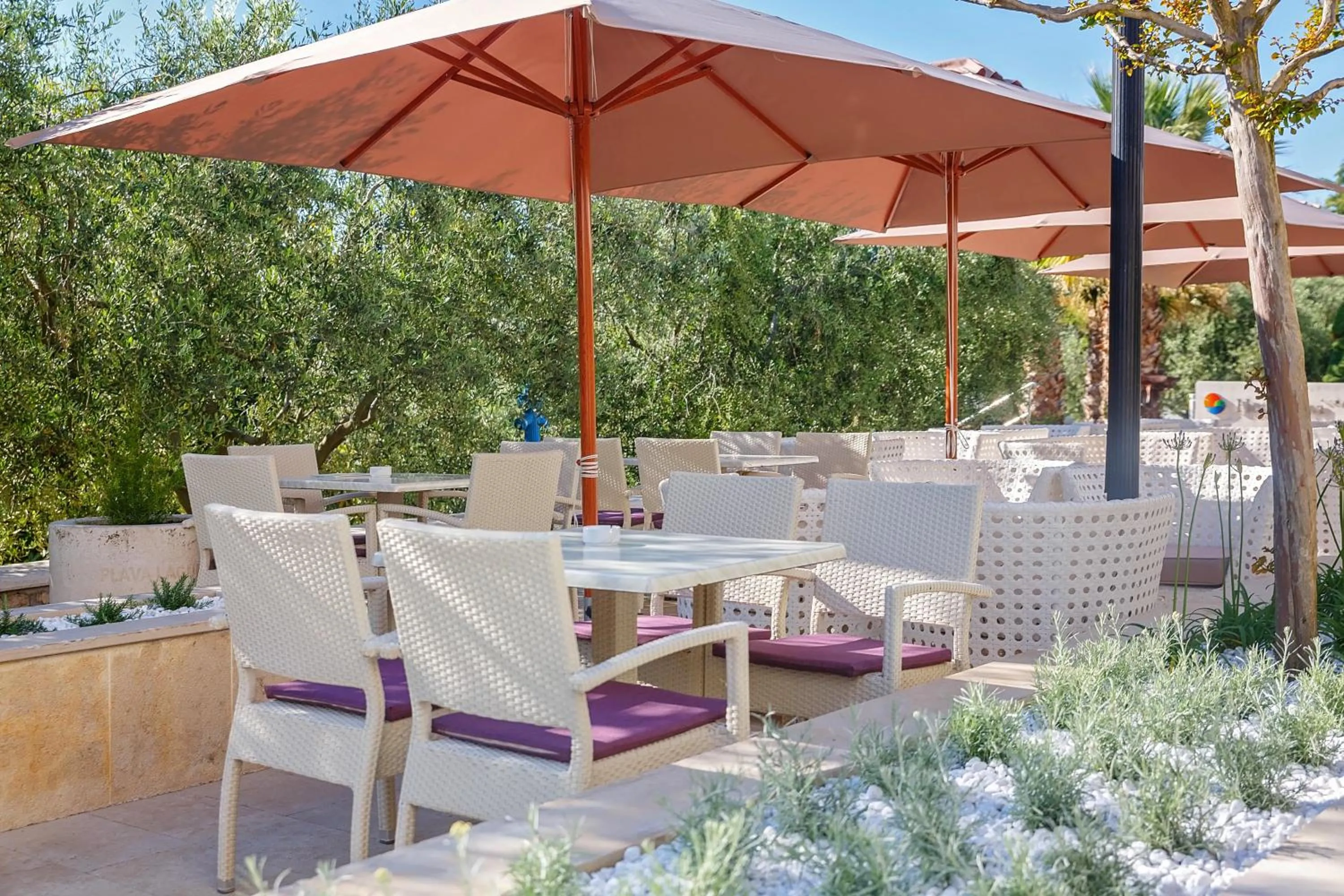 Lounge or bar in Hotel Plavi Plava Laguna