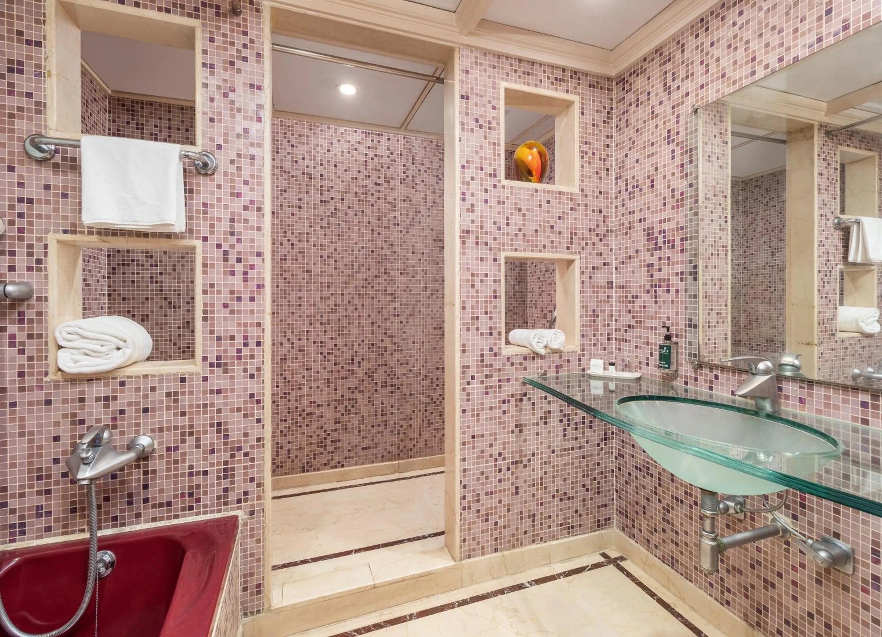 Shower in Sarovar Portico Kalupur Ahmedabad