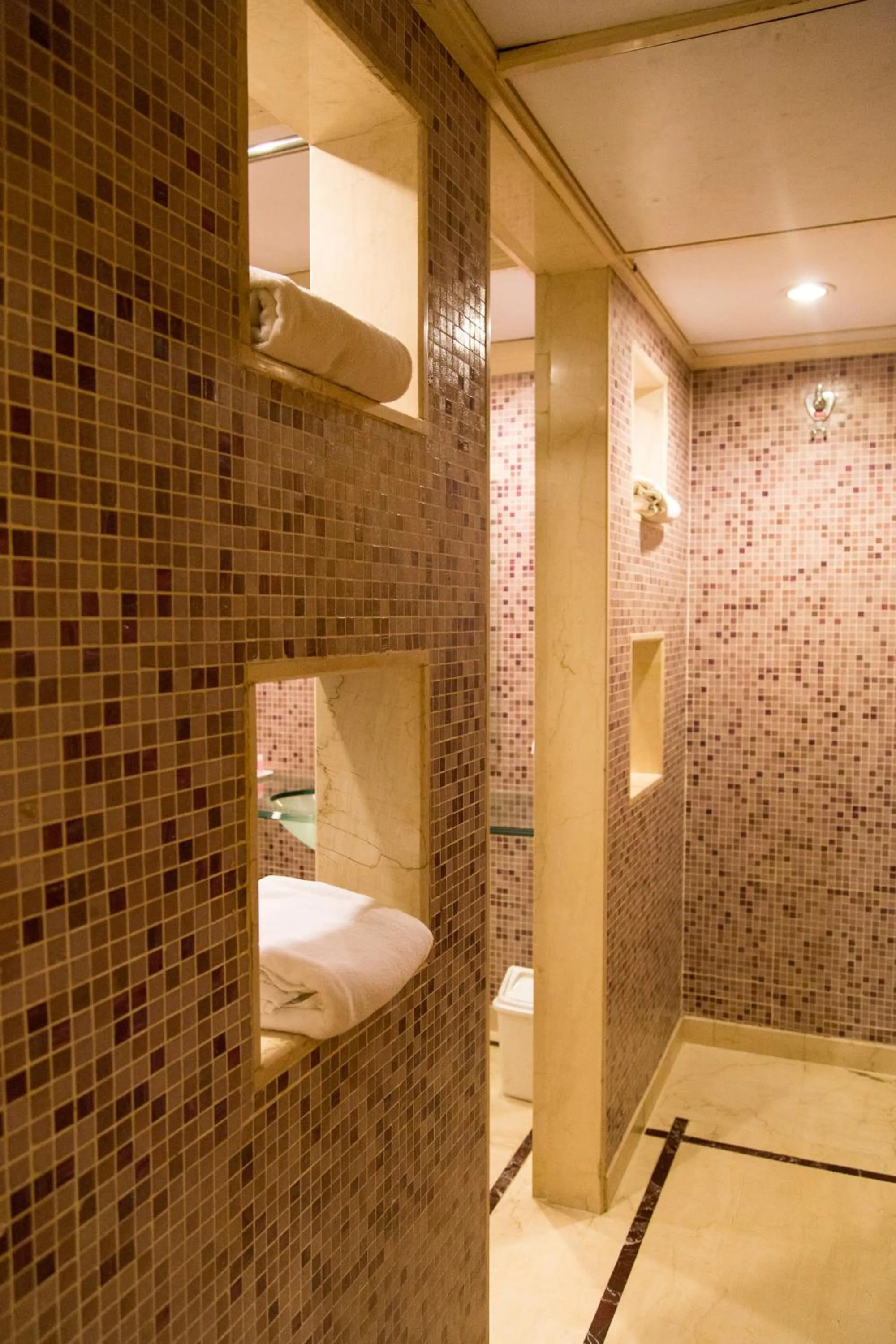 Bathroom in Sarovar Portico Kalupur Ahmedabad