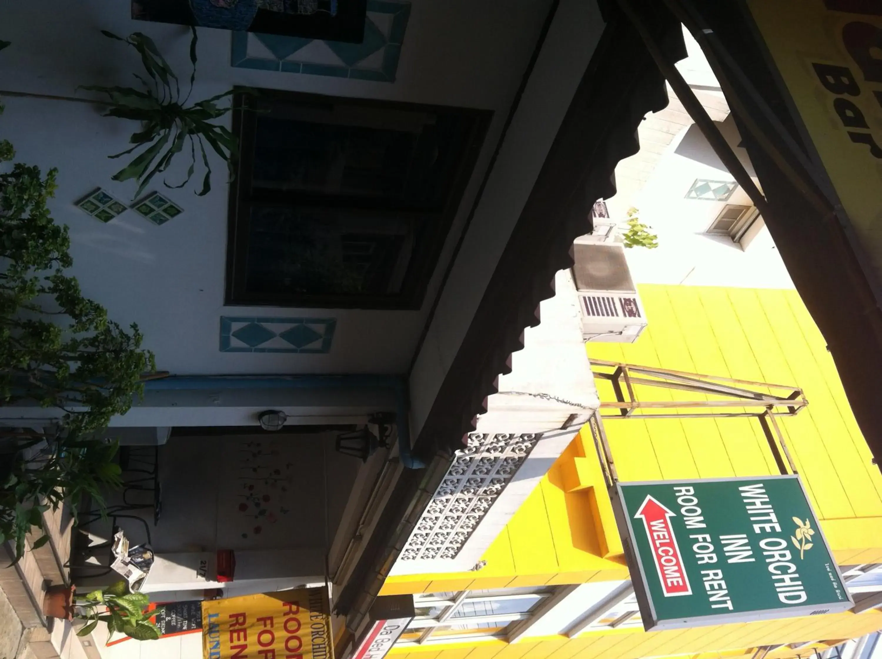 White Orchid Inn I White Orchid Inn I