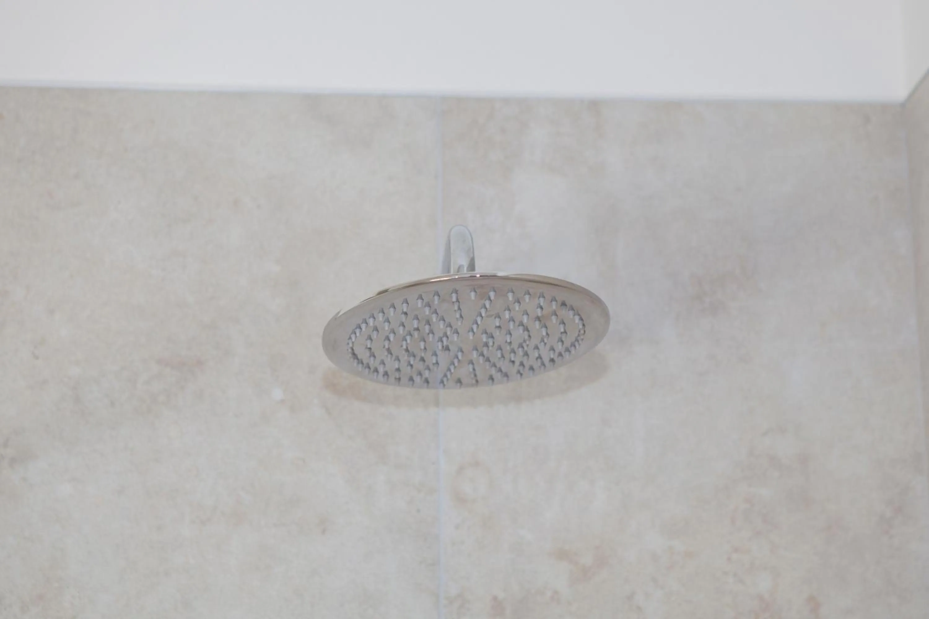 Hotel Benacus Torri del Benaco