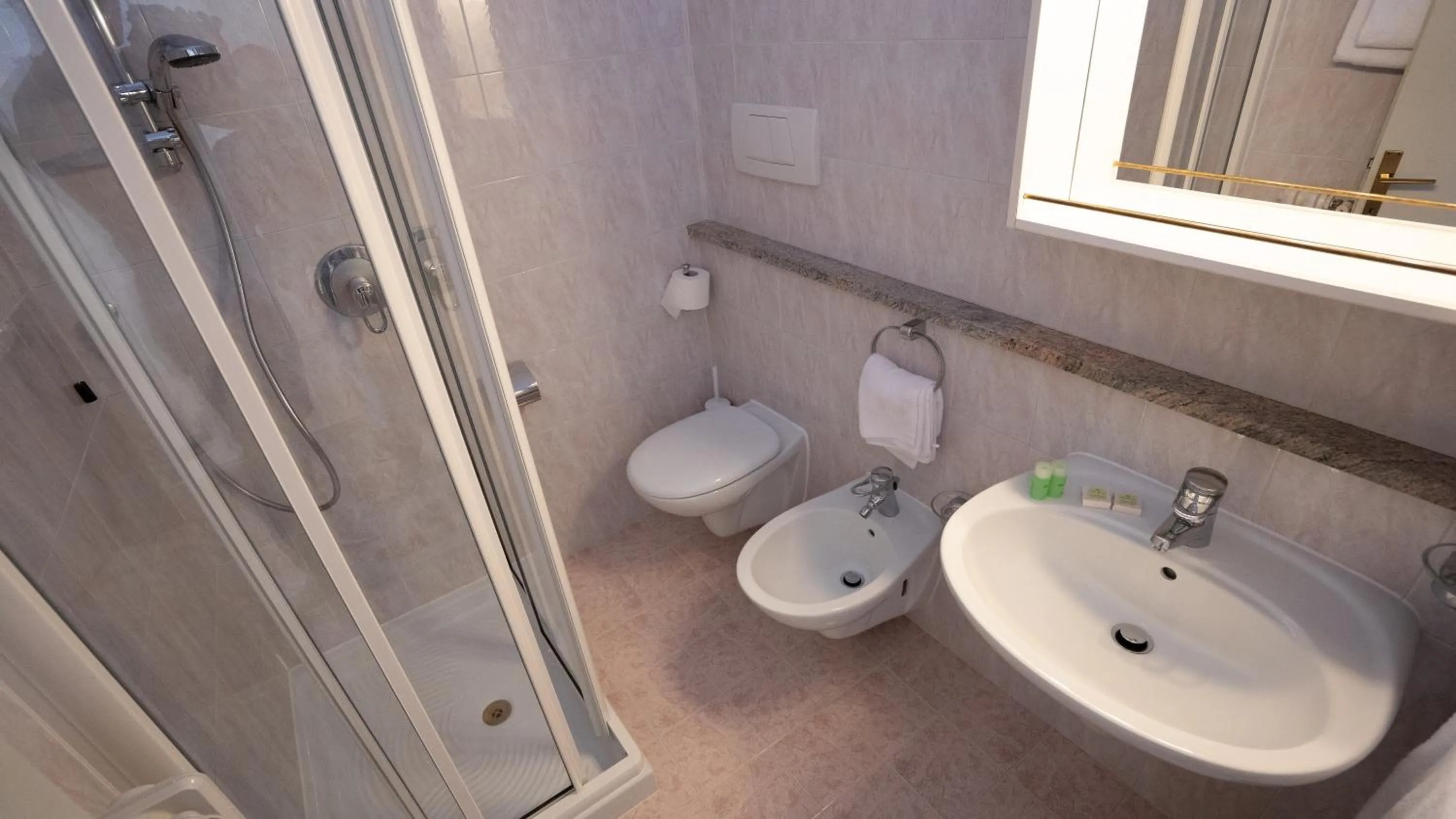 Hotel Benacus Torri del Benaco