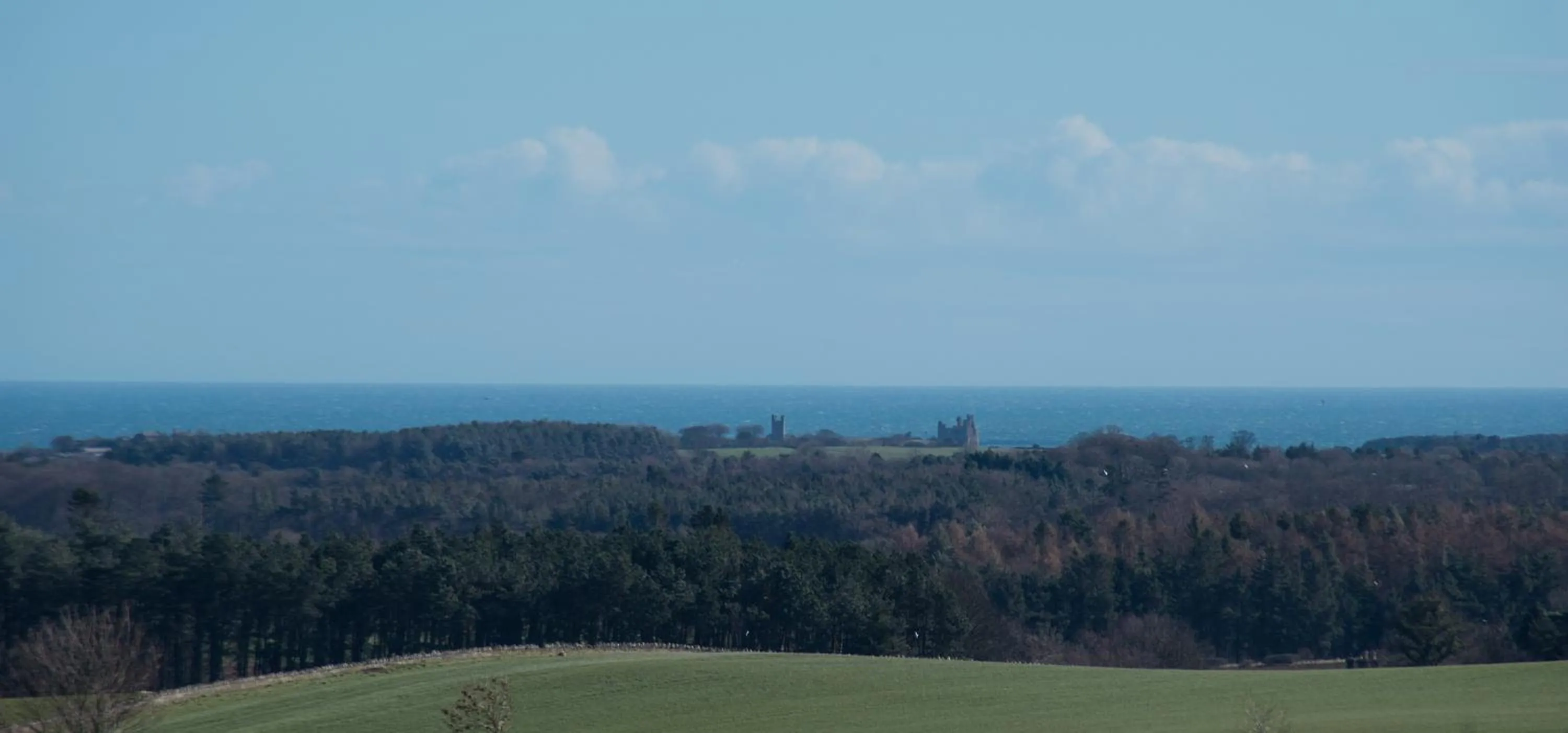 Birdsong Cottage Bed and Breakfast