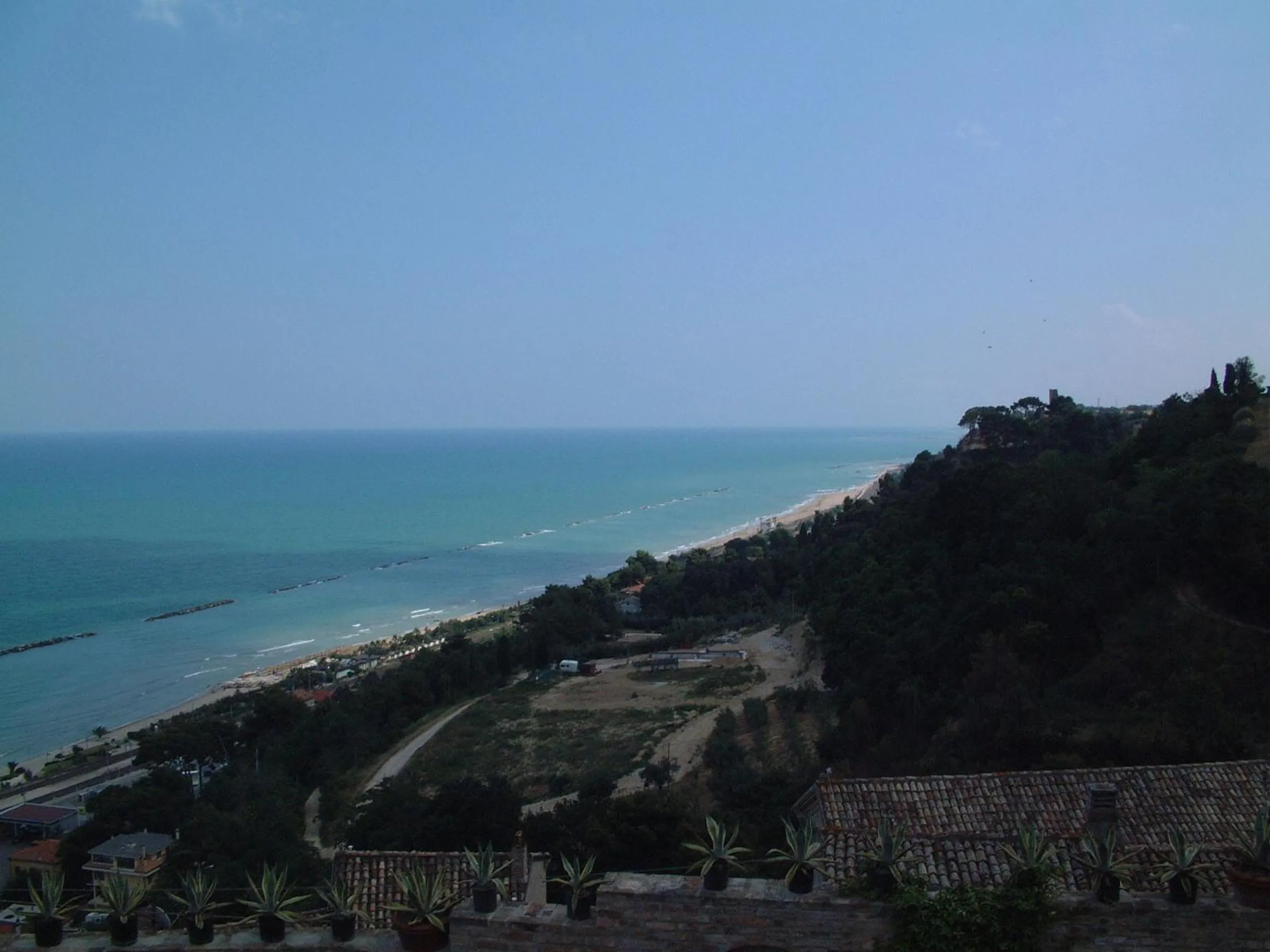 Natural landscape in Hotel Capital